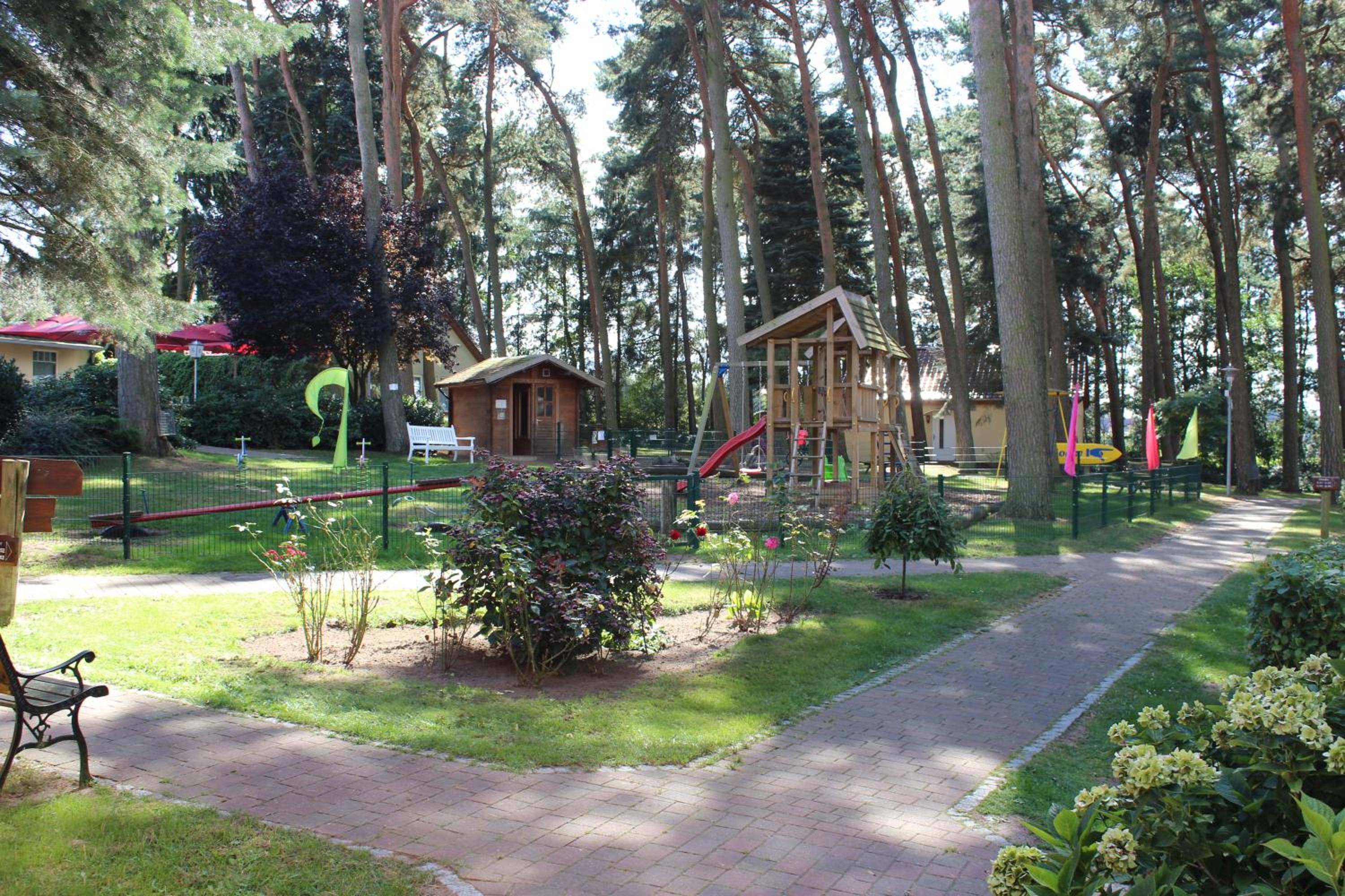 Photo 12