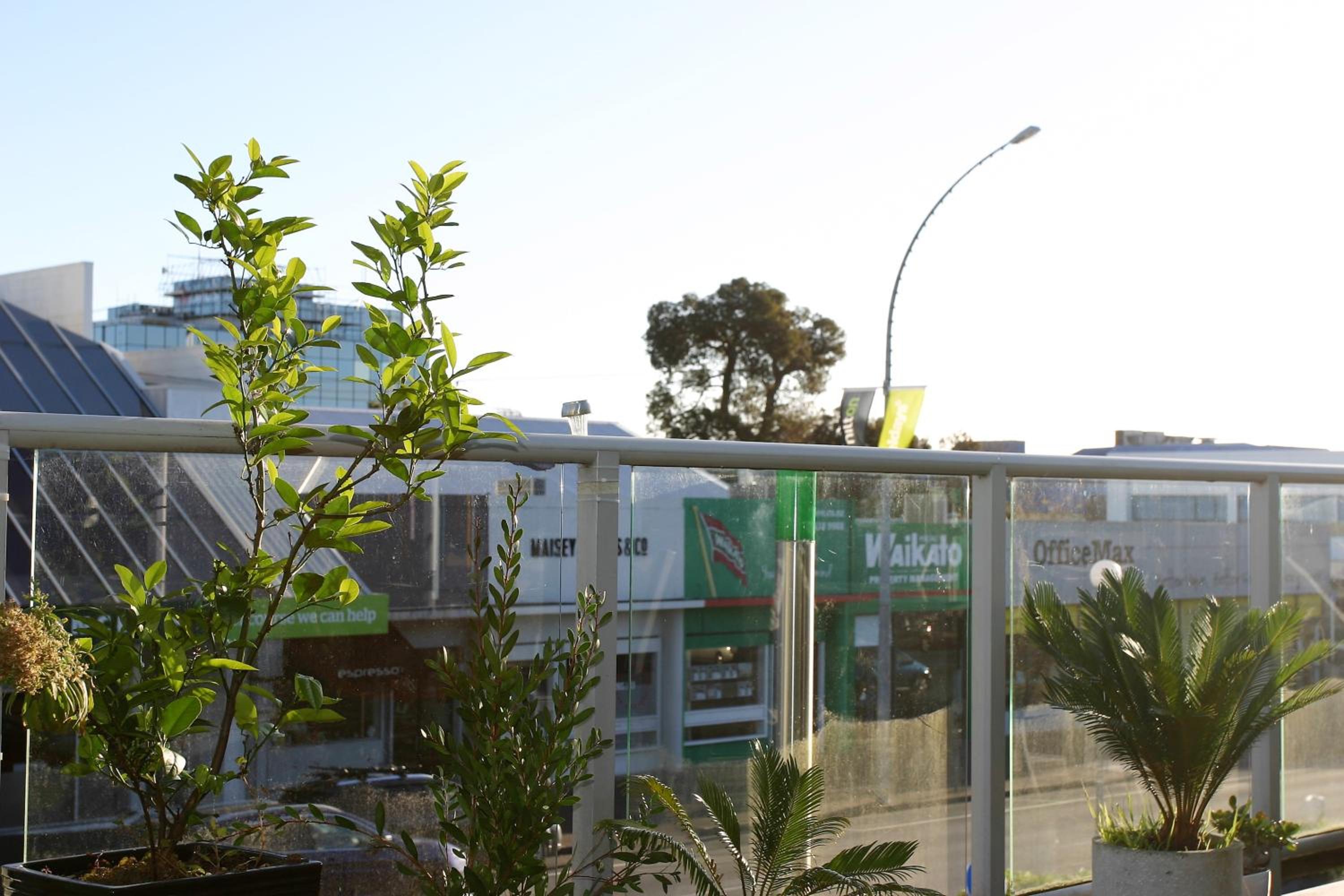 Backpackers Central Hamilton