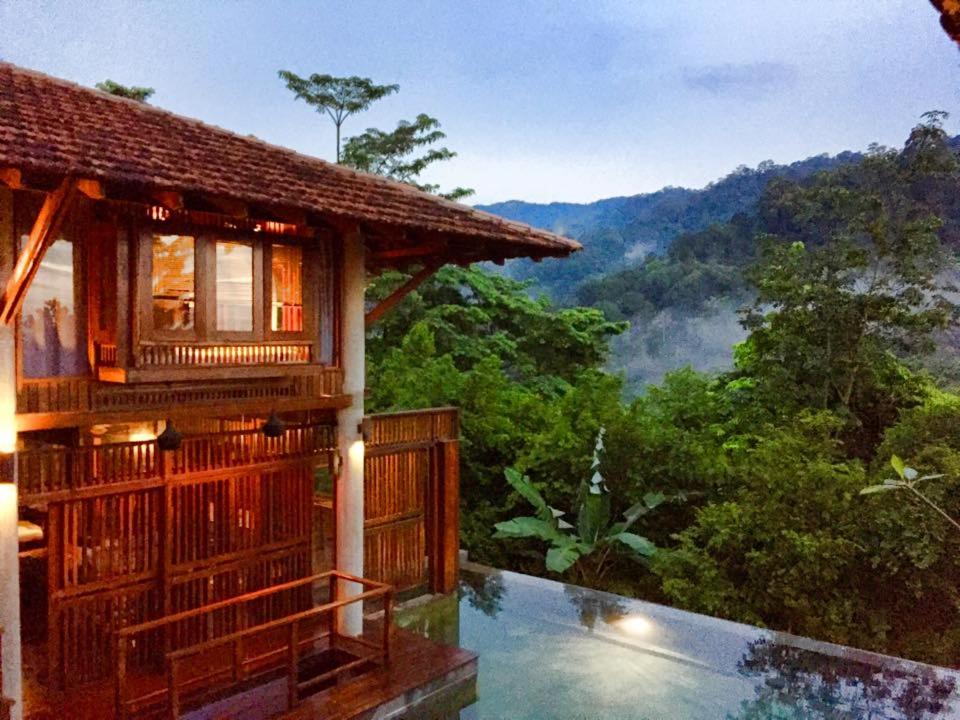 The Shorea
