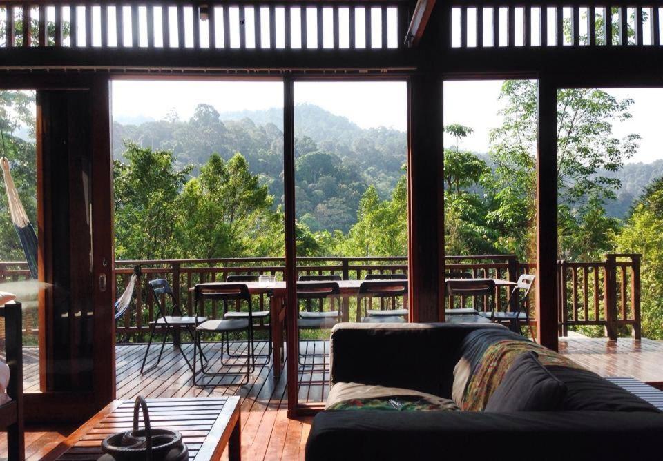 The Shorea