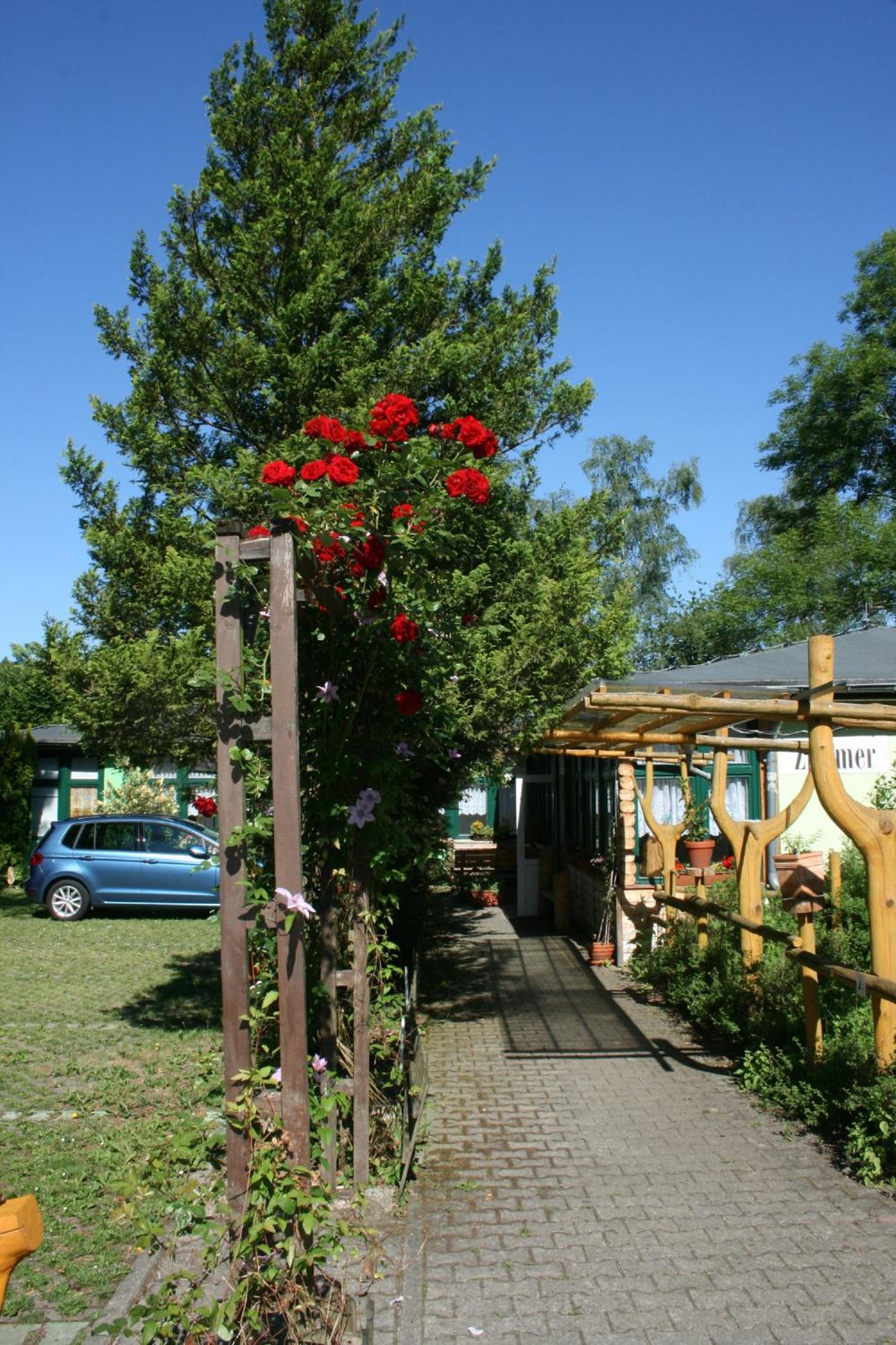 Photo 40