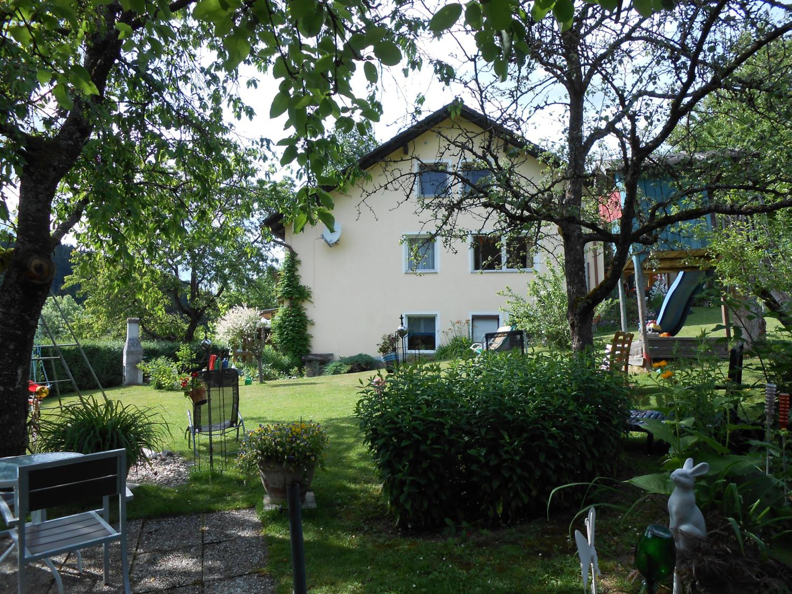 Photo 50