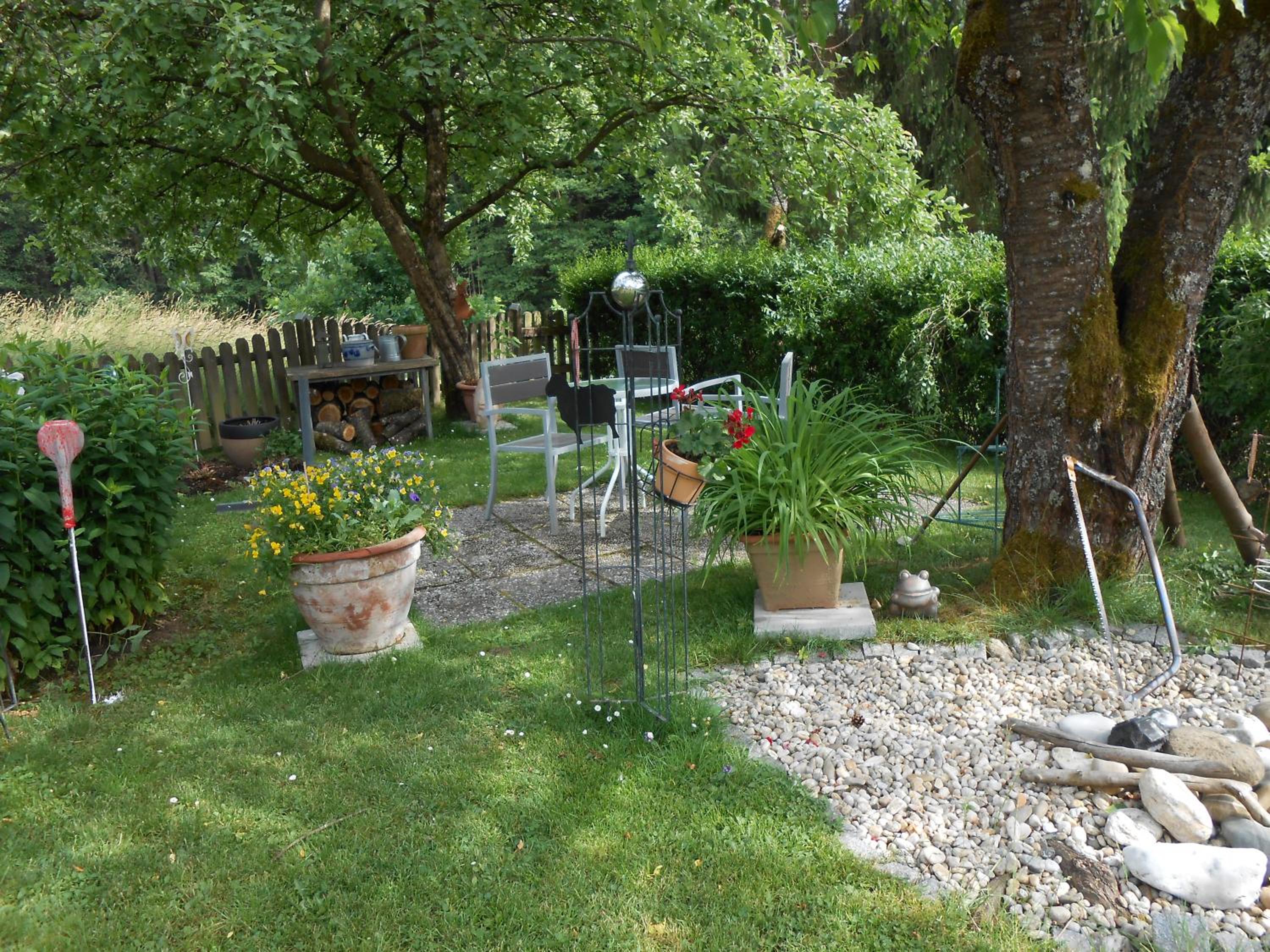 Photo 21