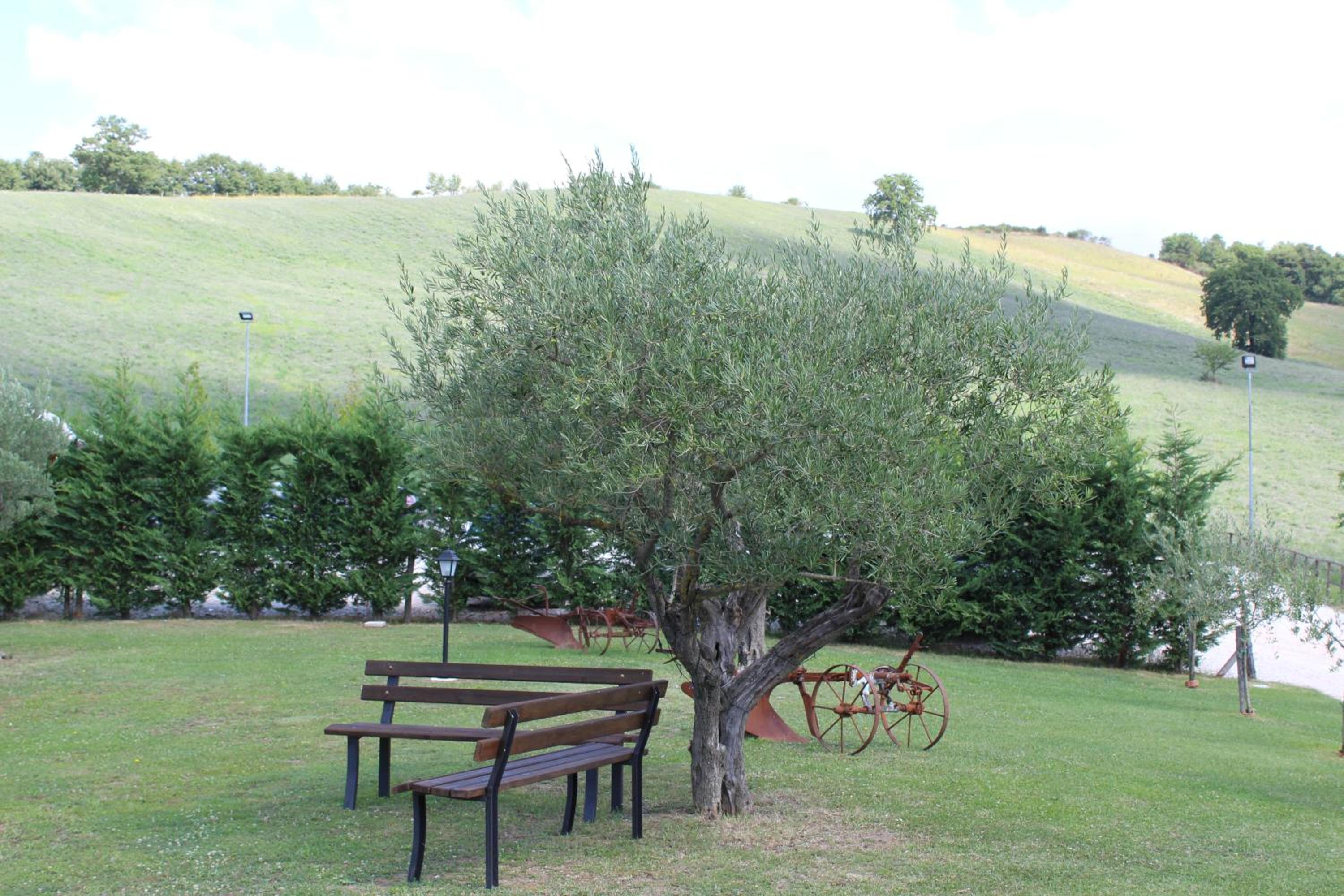 Photo 43