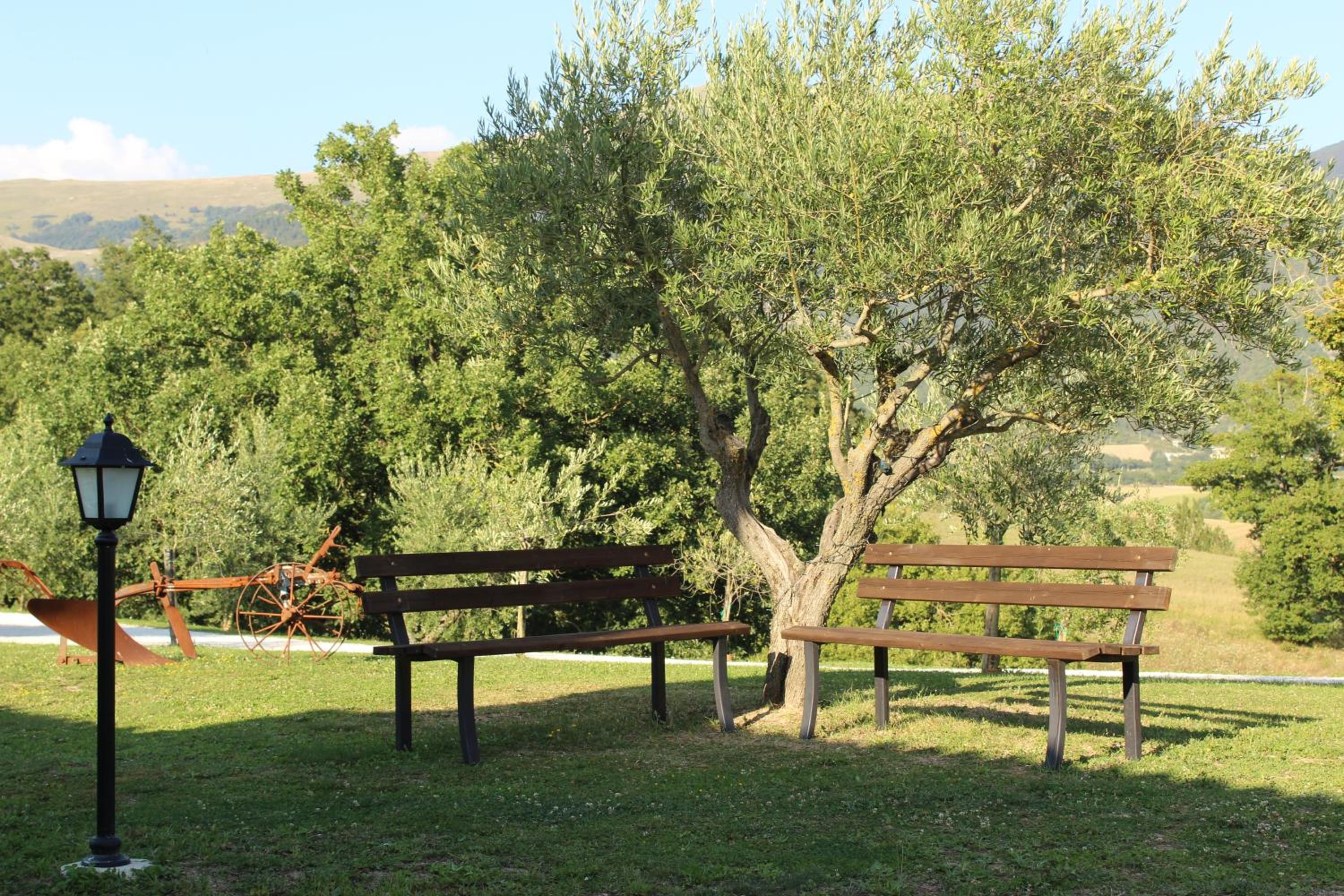 Photo 40