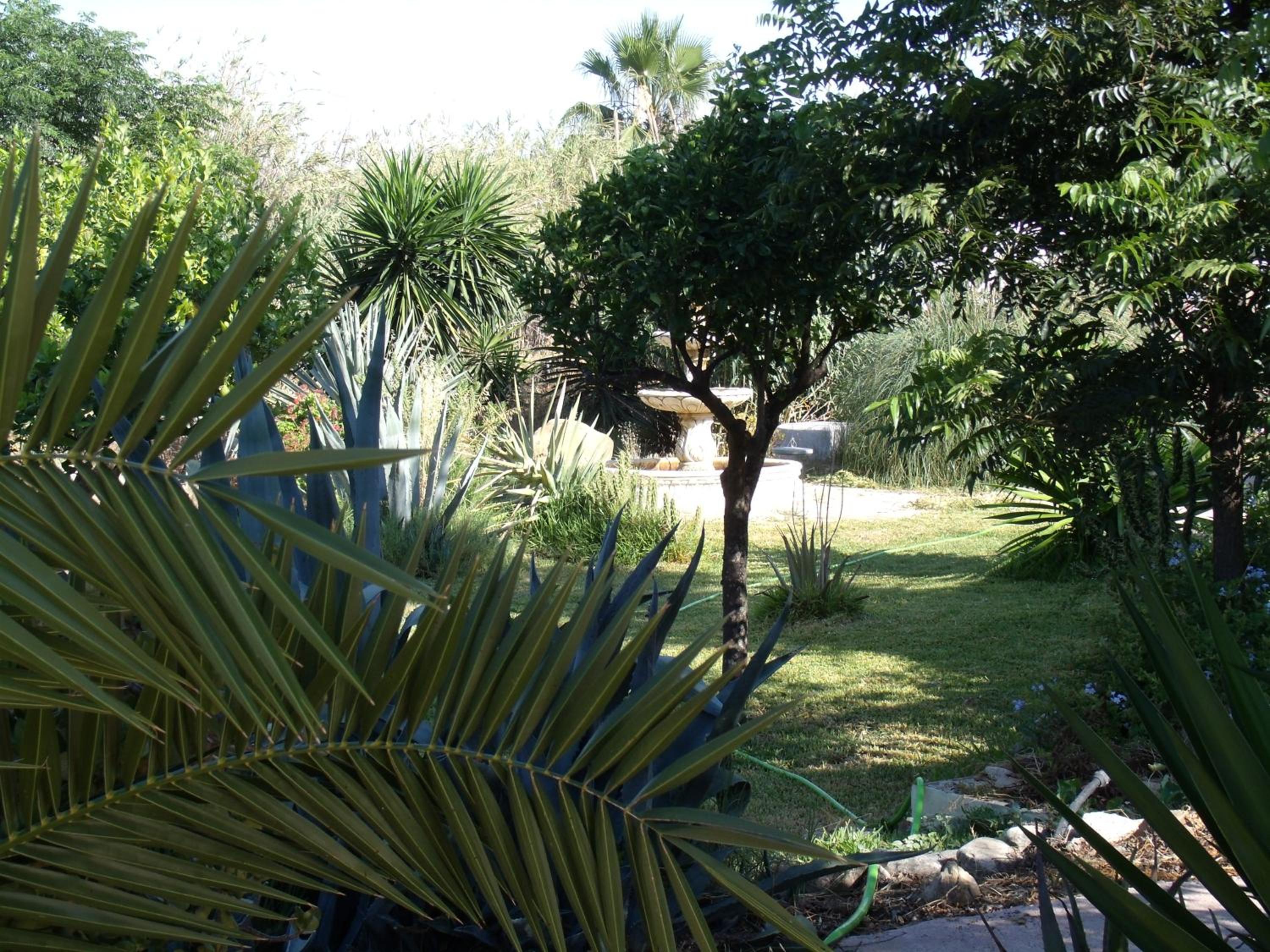 La Finca Blanca