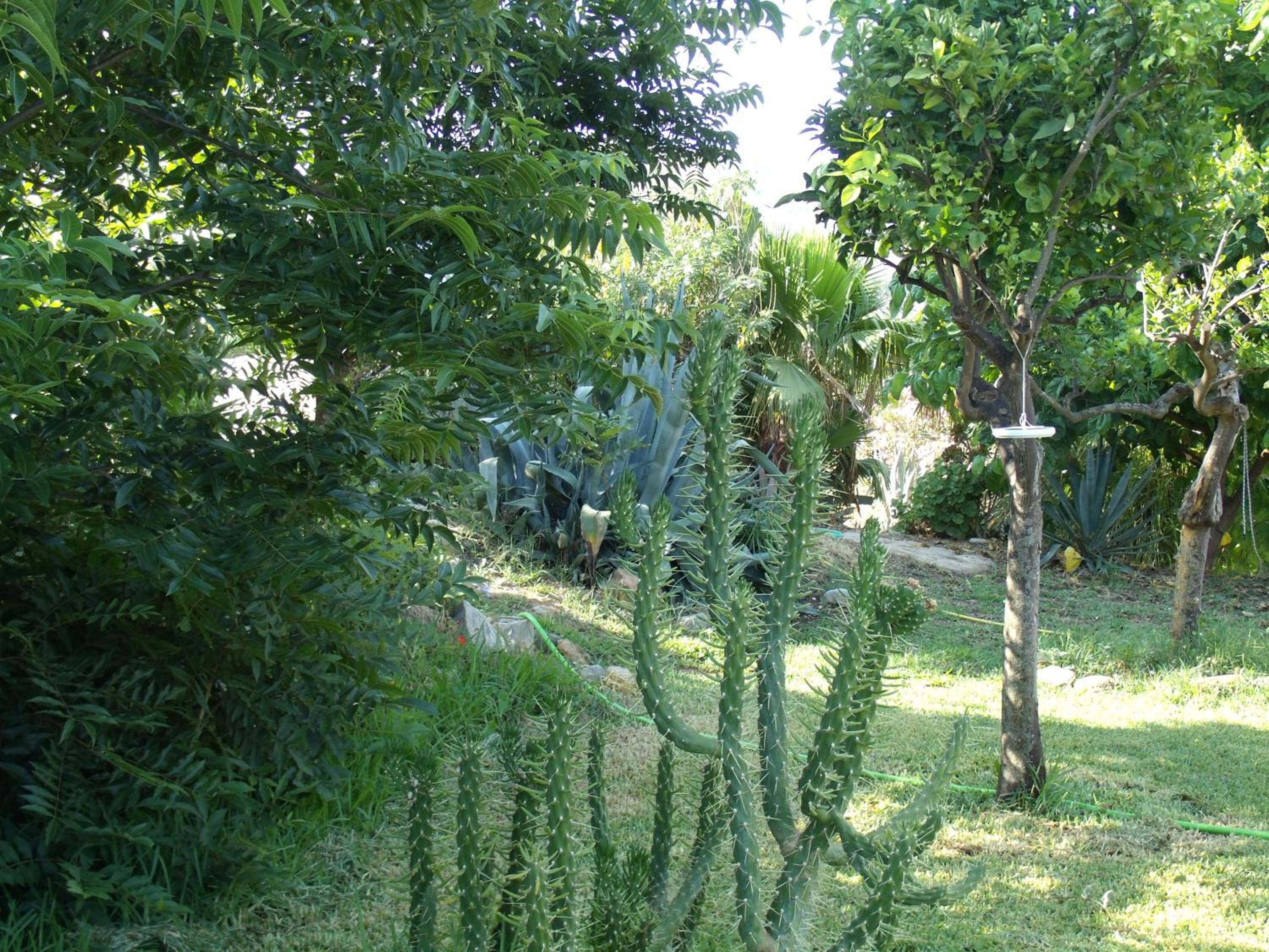 La Finca Blanca