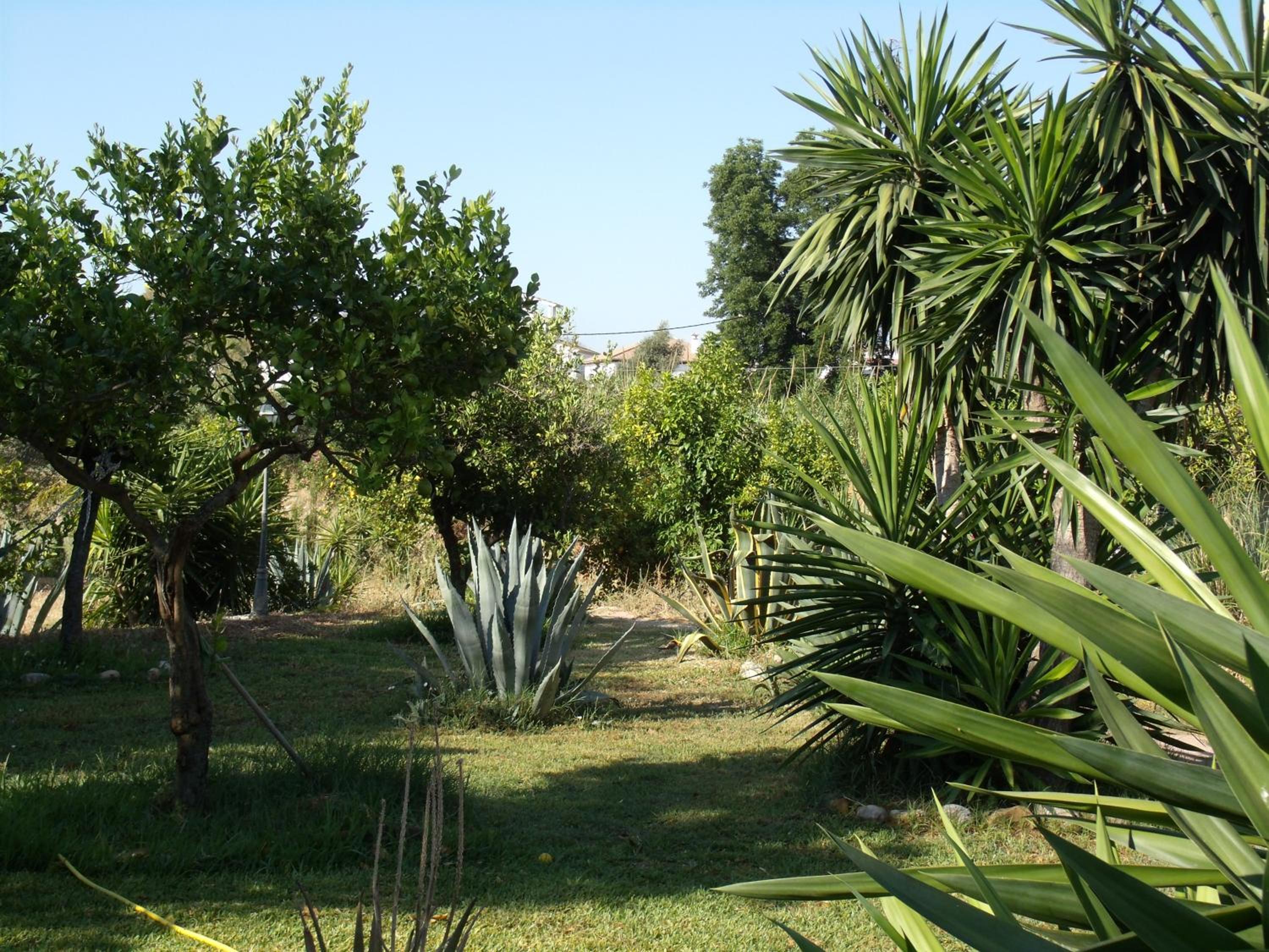 La Finca Blanca