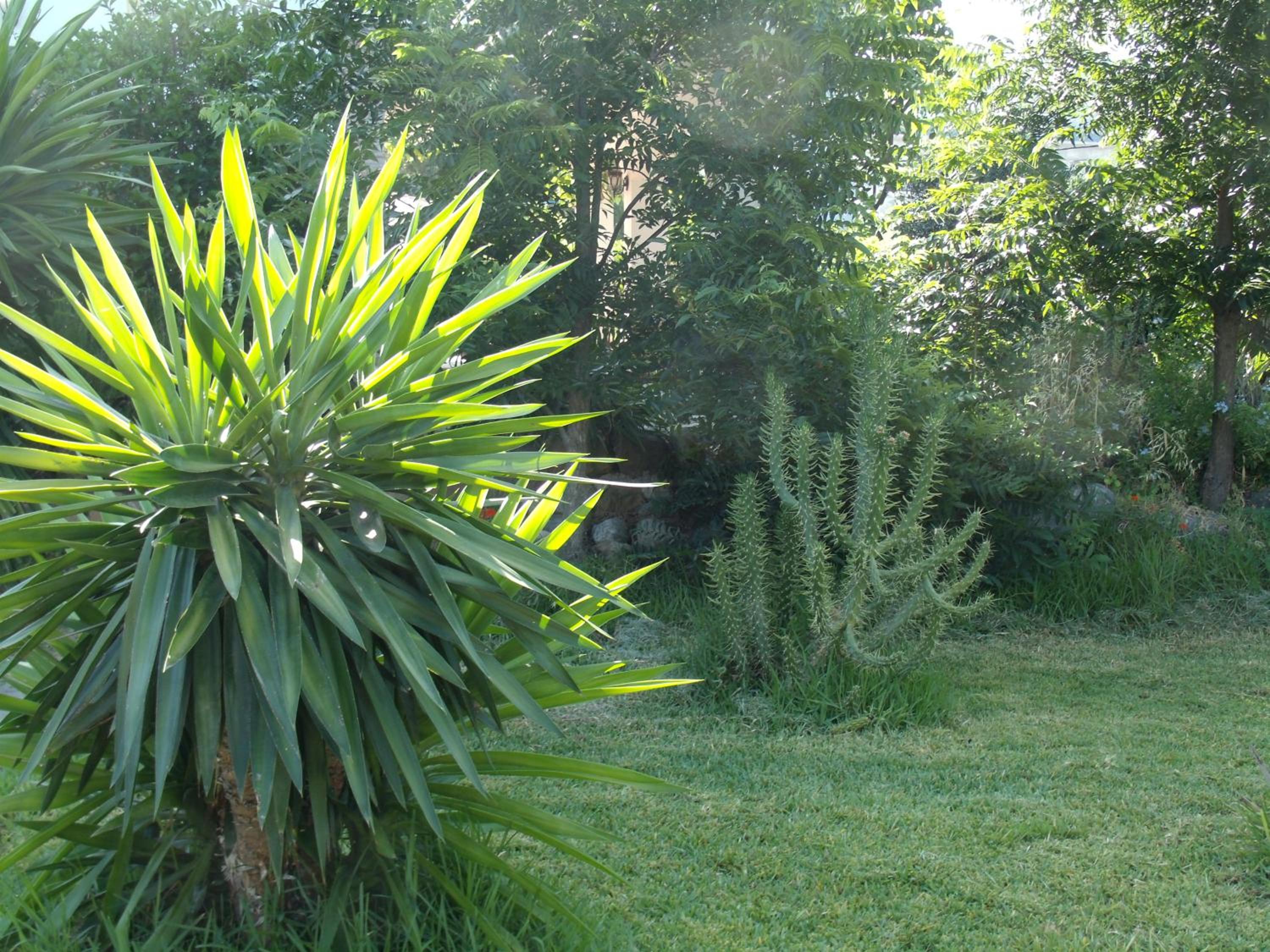 La Finca Blanca