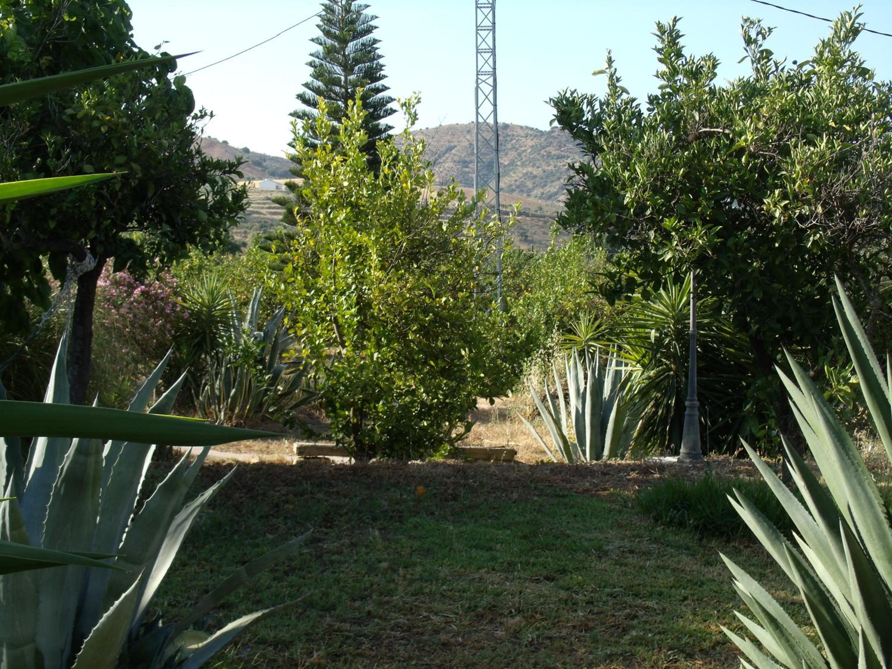La Finca Blanca