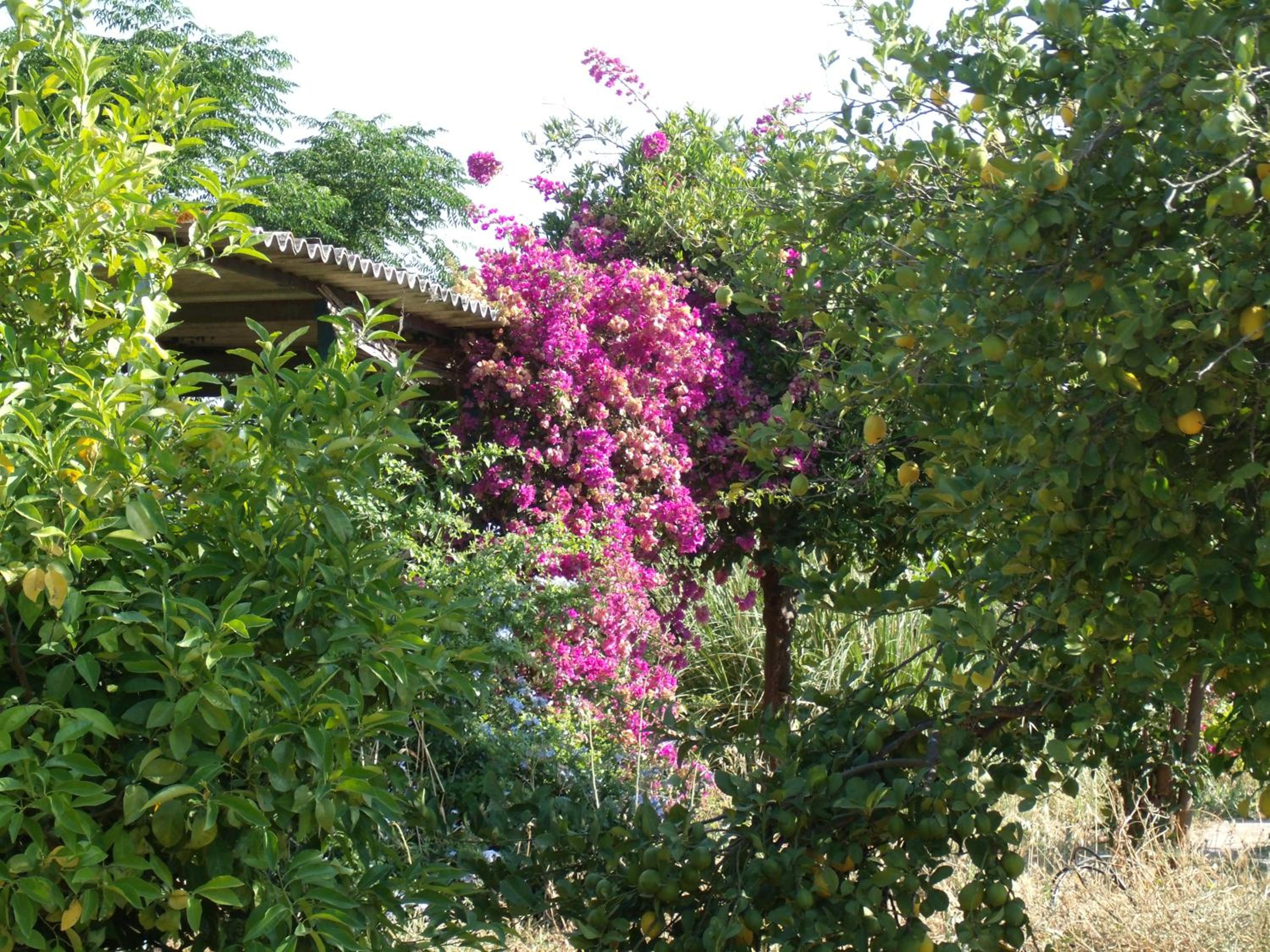 La Finca Blanca
