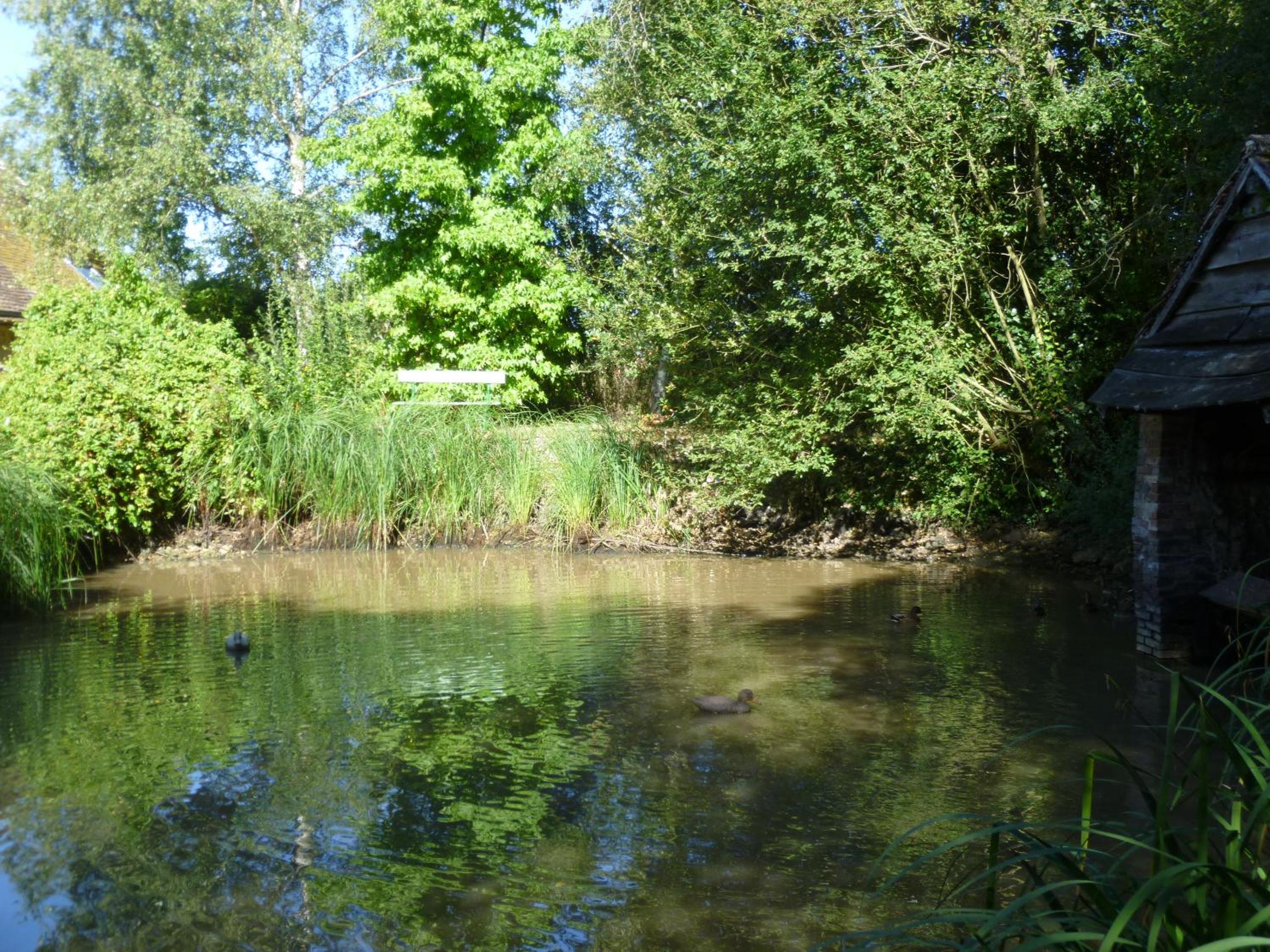 La Sauleraie
