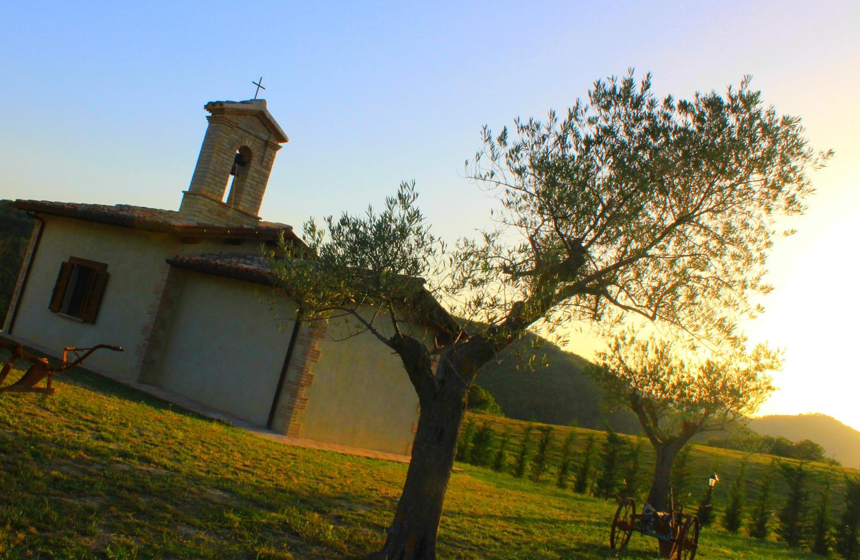 Photo 29