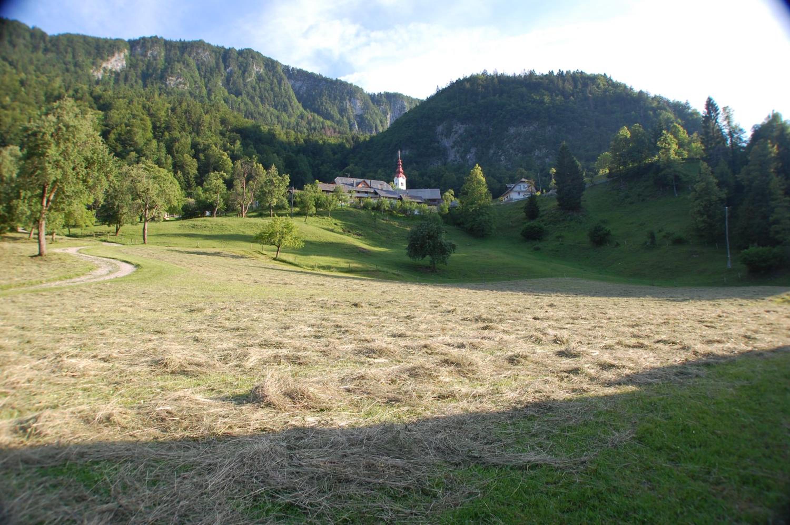 Photo 13