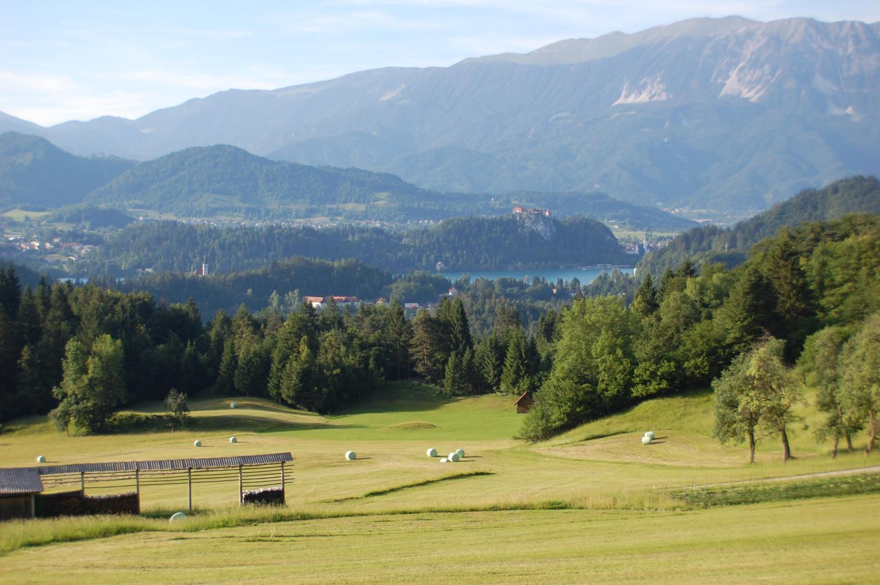 Chalet ApArt Kupljenik 12 A, Bled view 5
