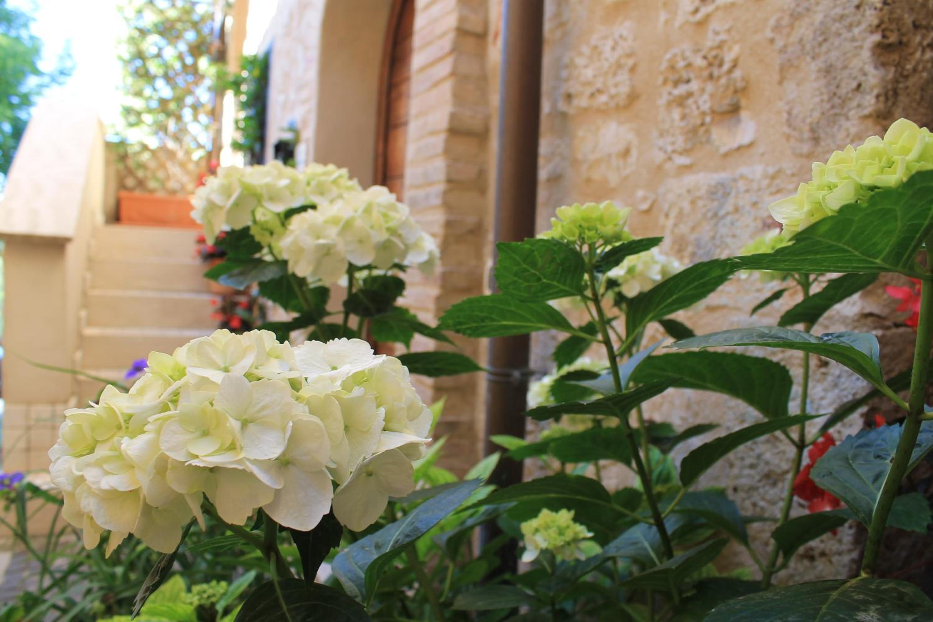 La Zaffera view 3