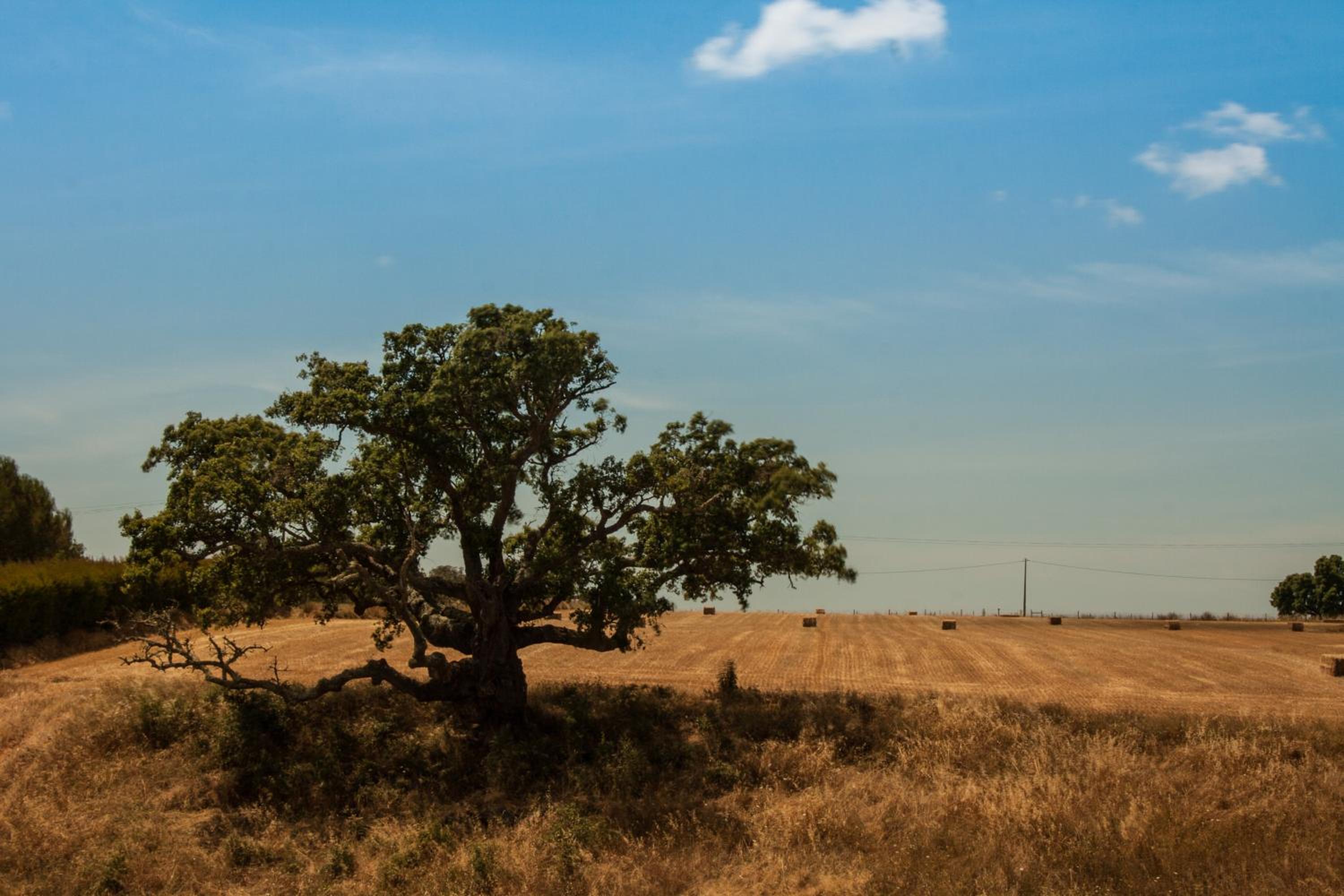 Vales do Alentejo view 4