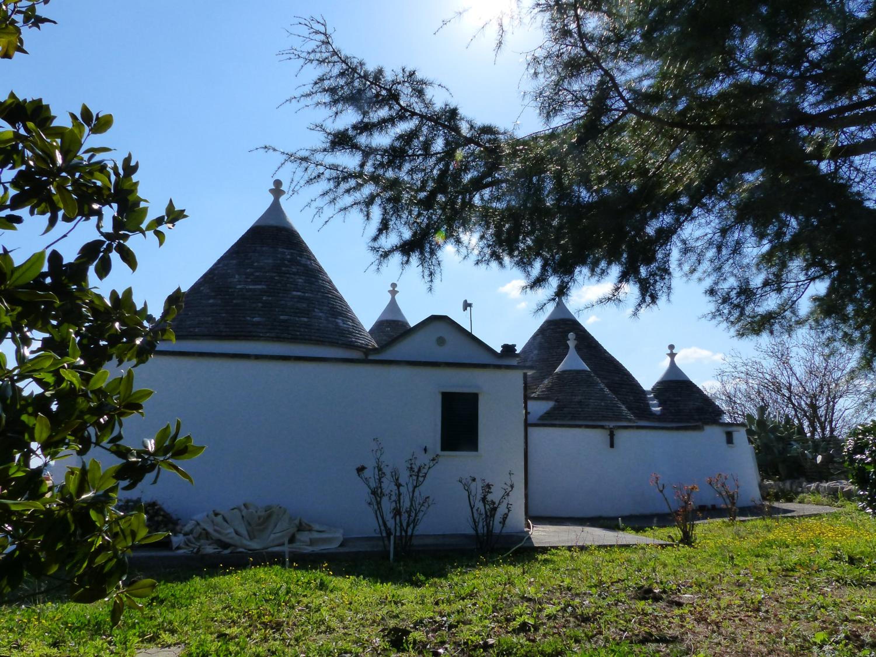 Photo 23