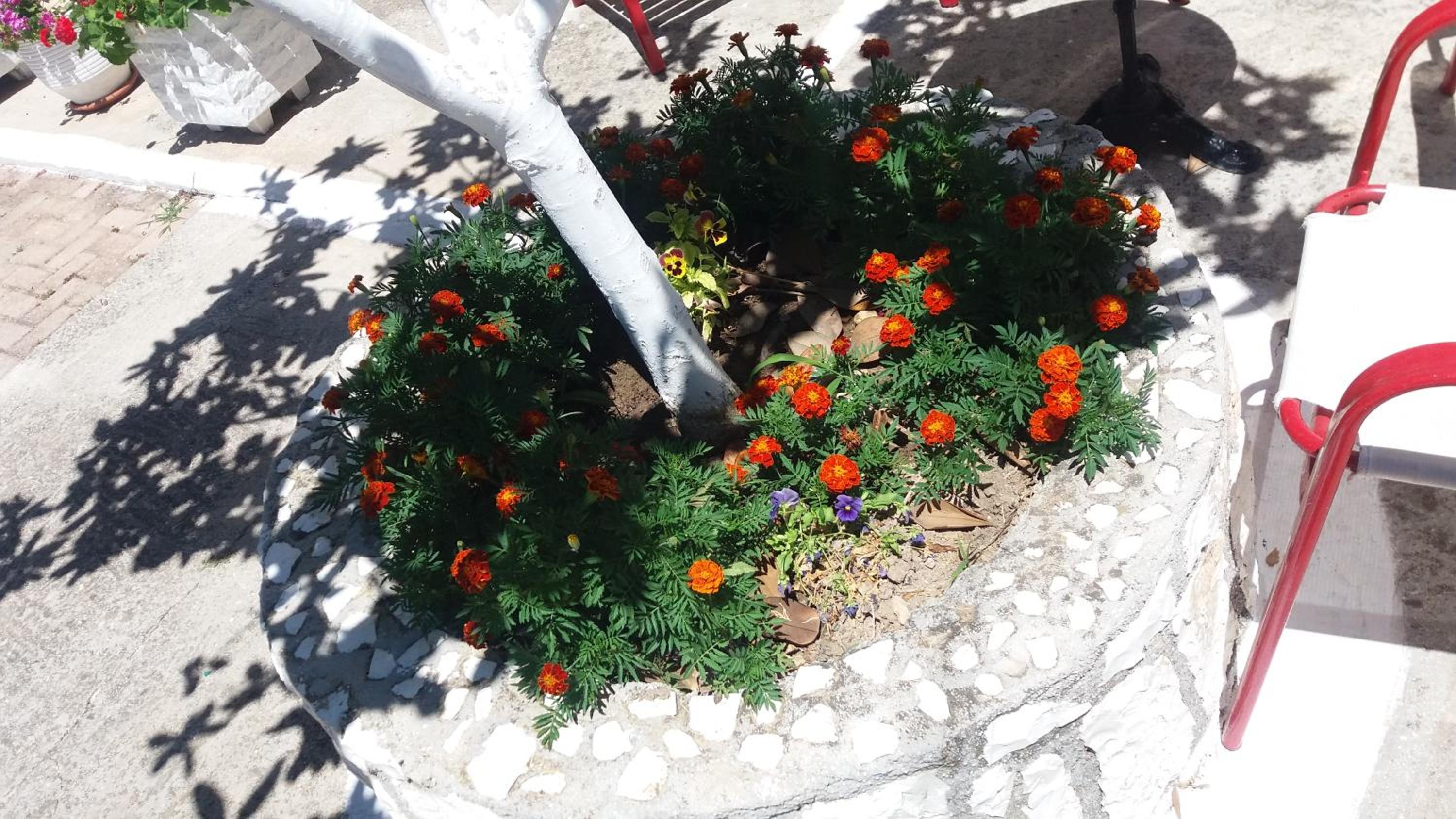 Photo 43
