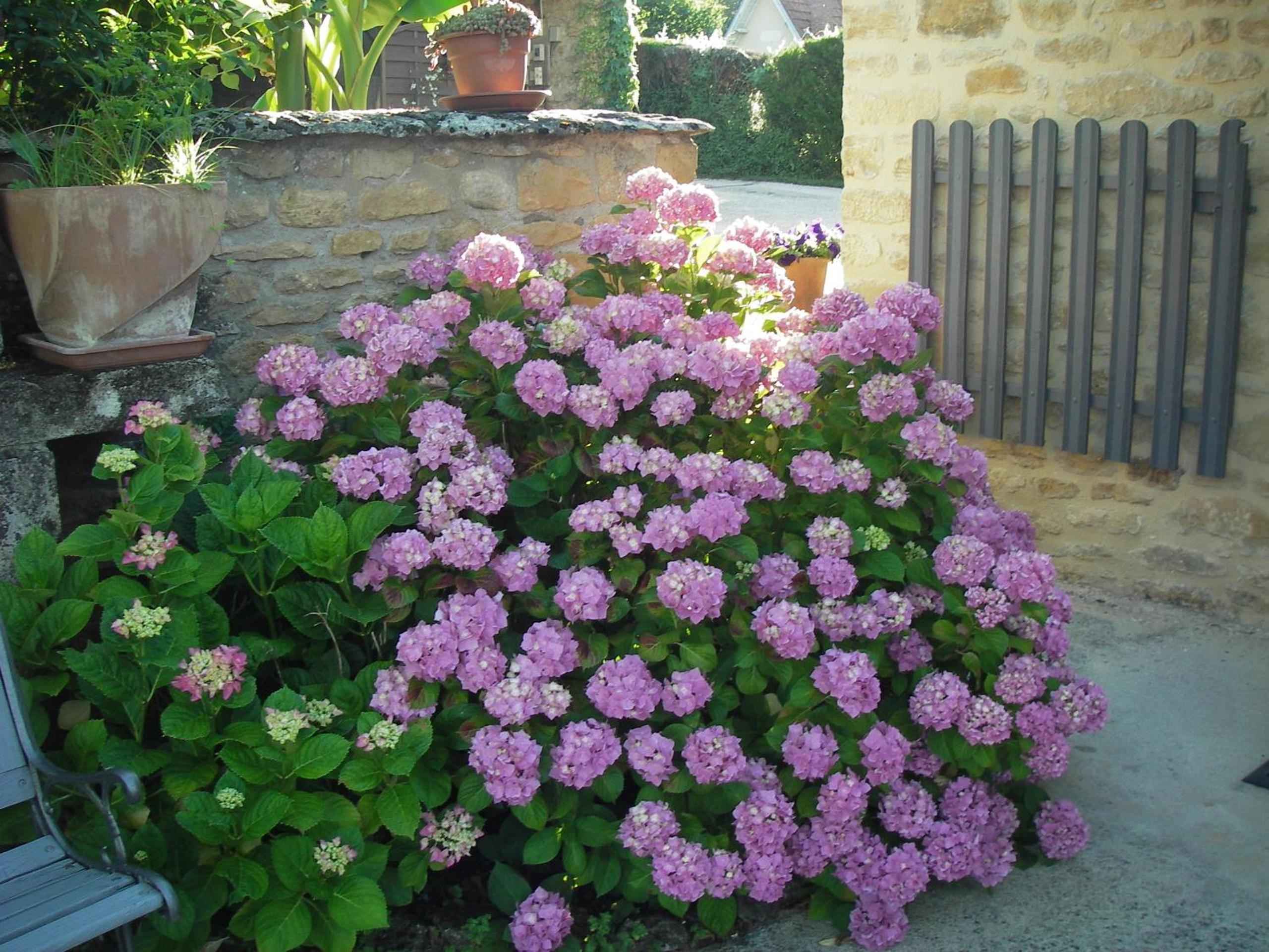 Les 4 Saisons, photo 17