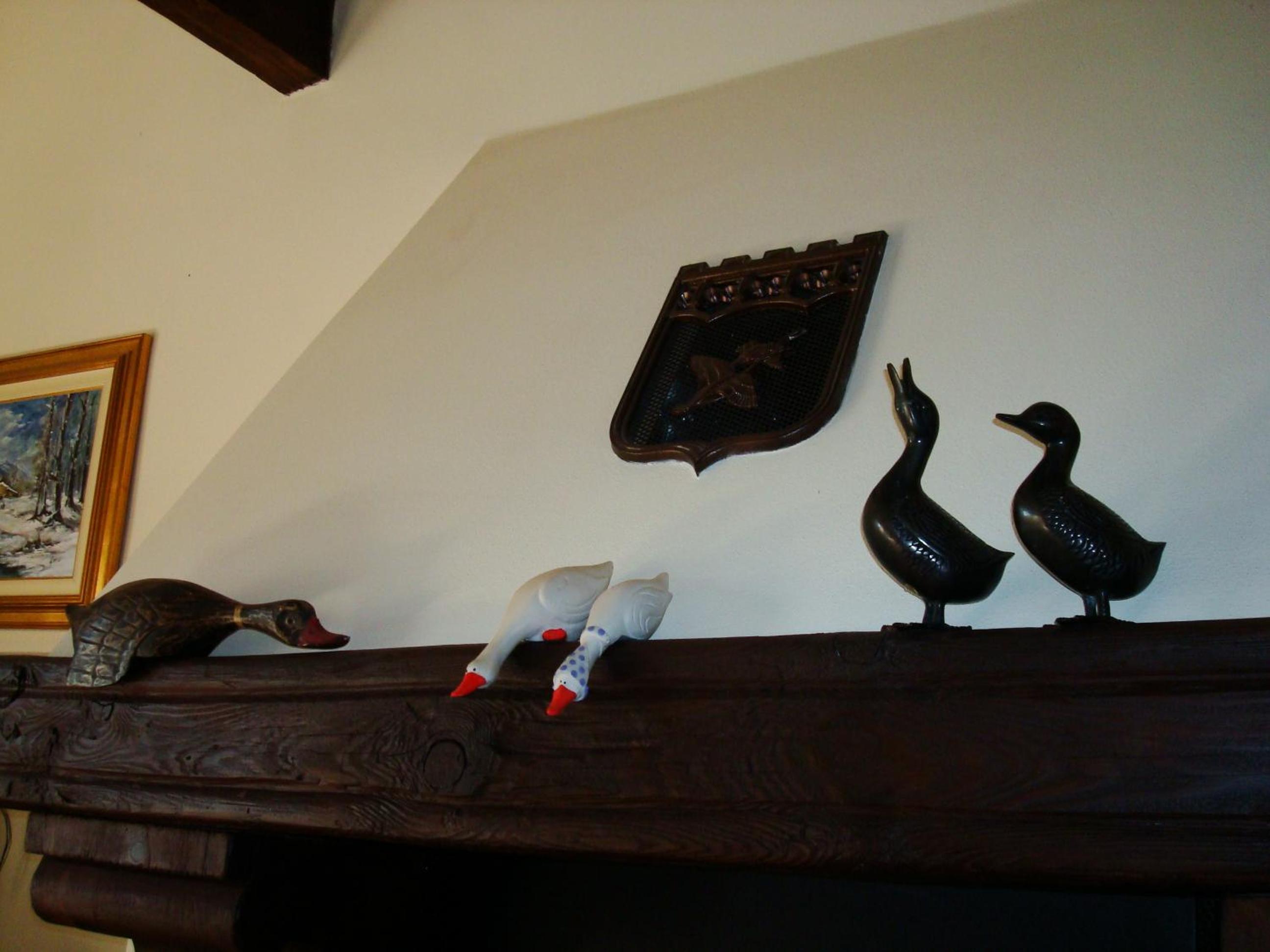 Photo 33