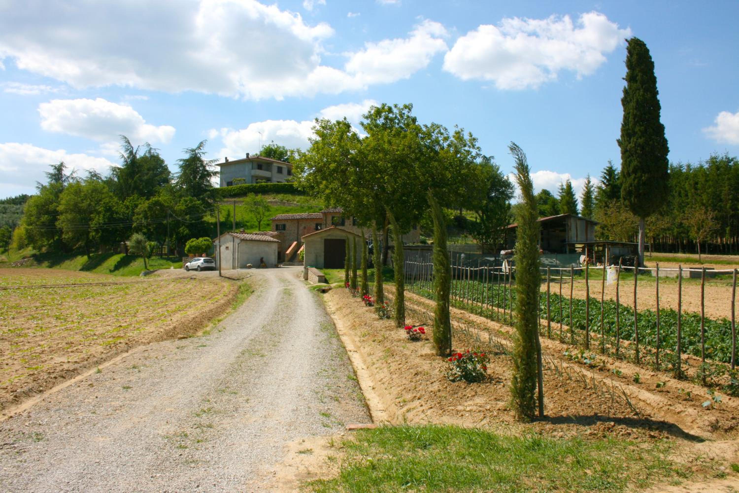 Photo 25