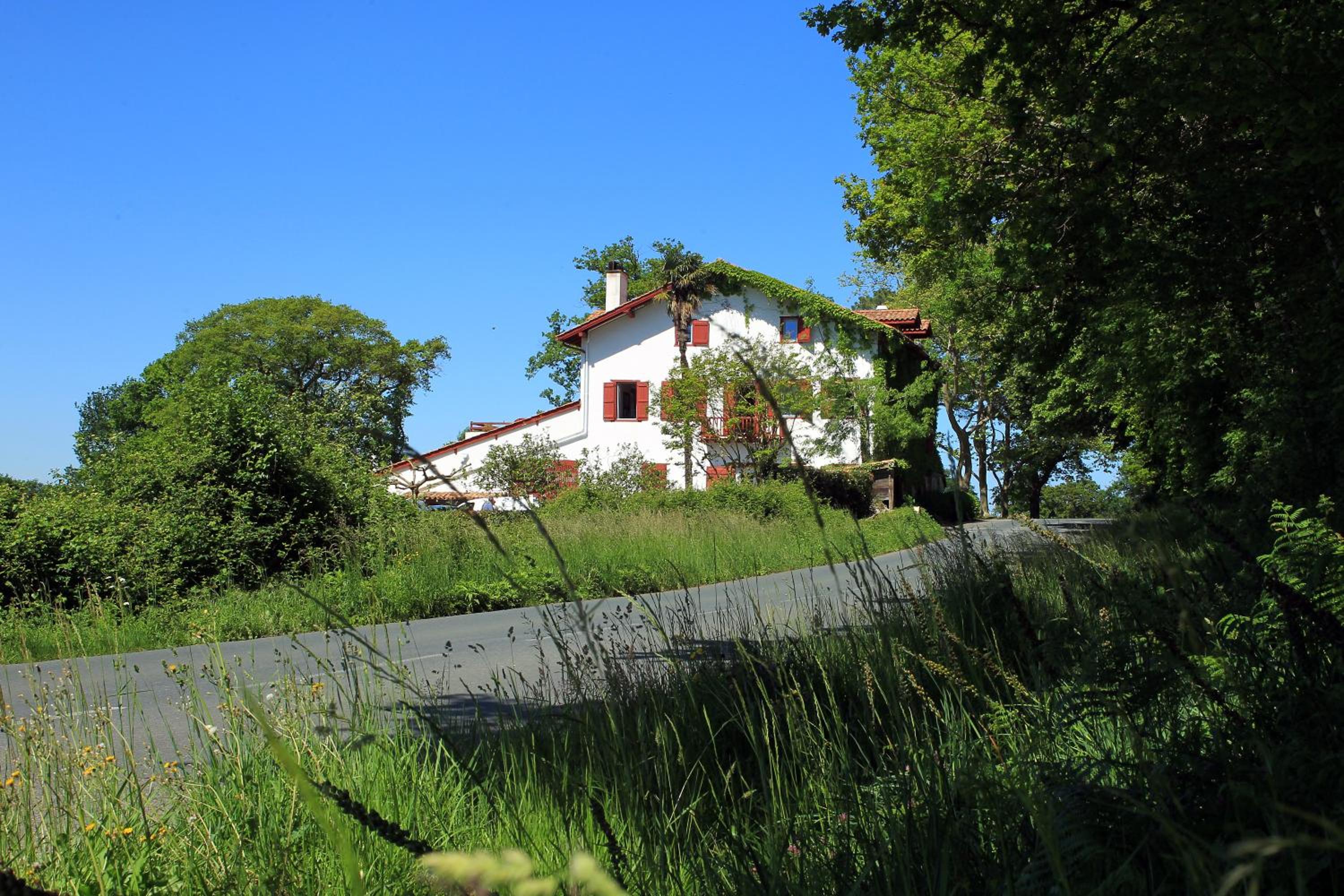 Photo 6