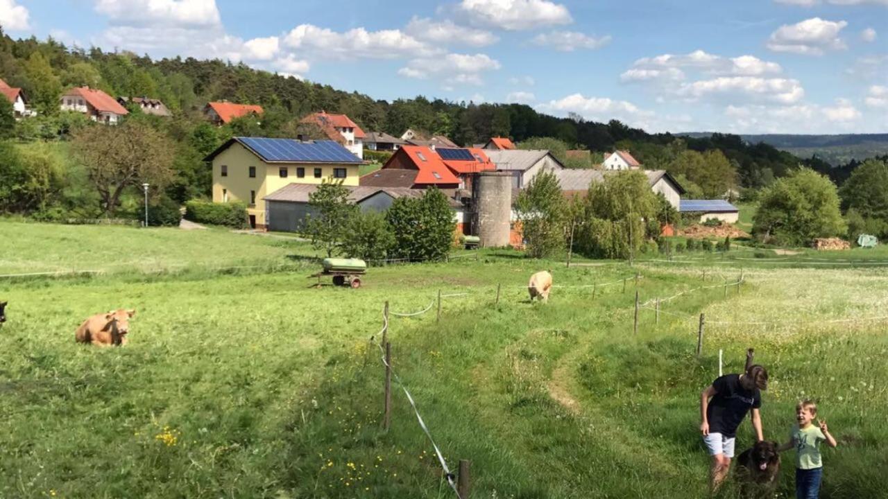Ferienwohnungen Elsbacher Hof view 2