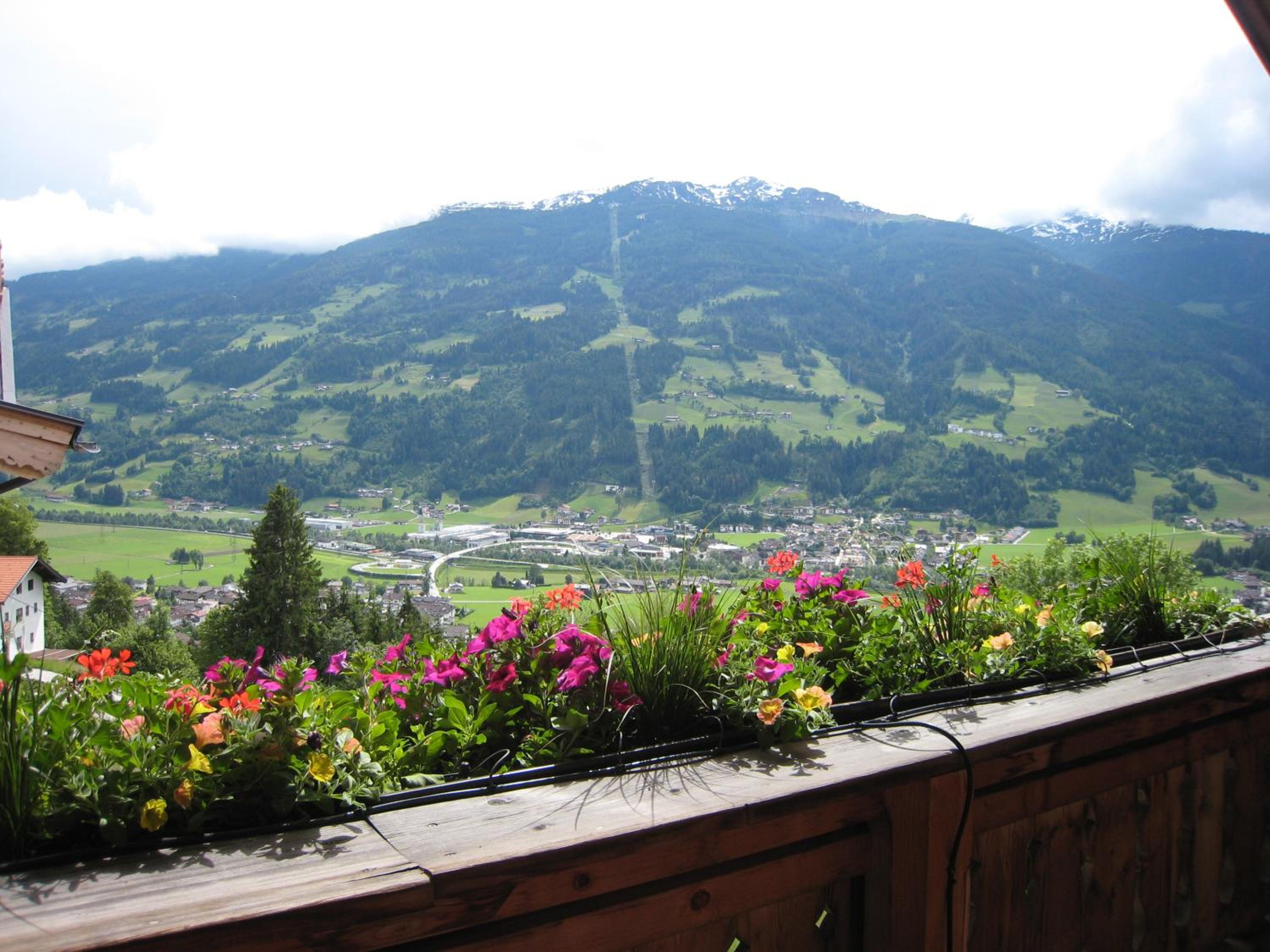 Photo 44
