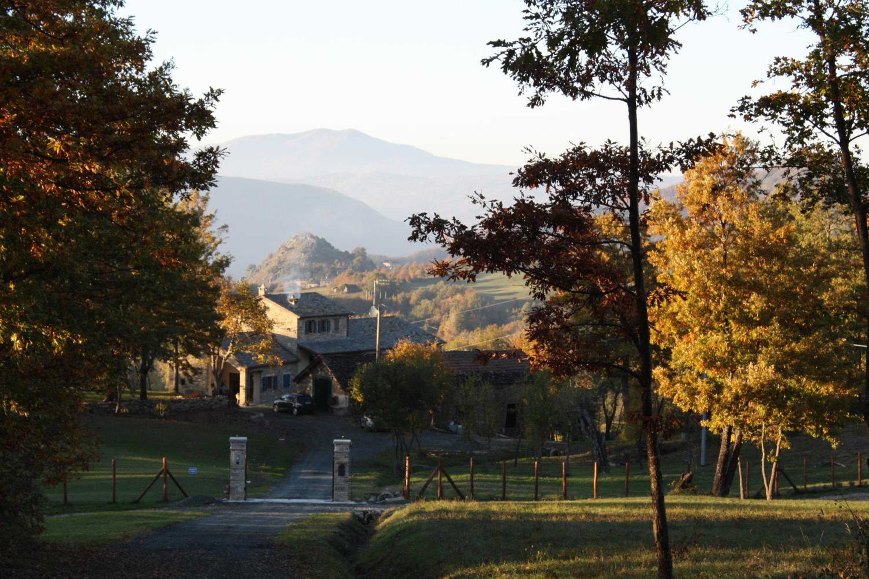 Ospitalita' Rurale Casa Cani view 5