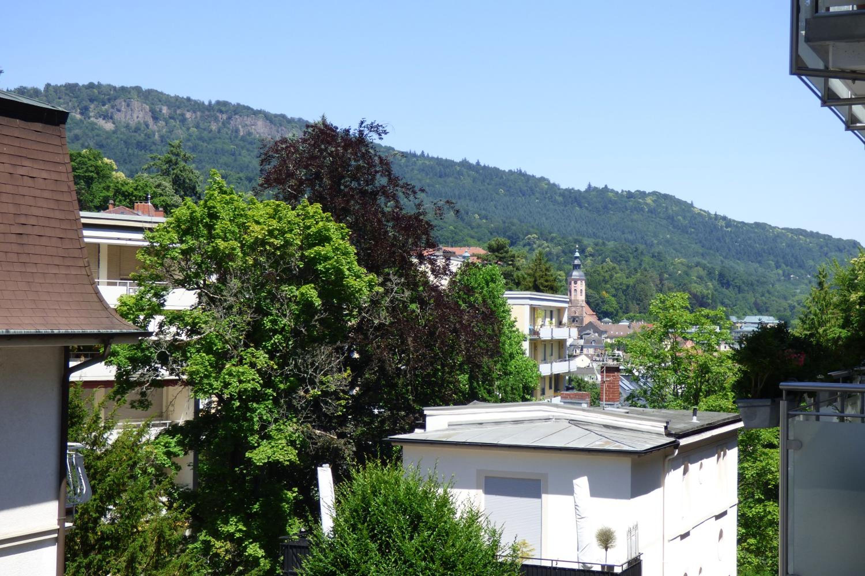 Colibri Apartment view 4