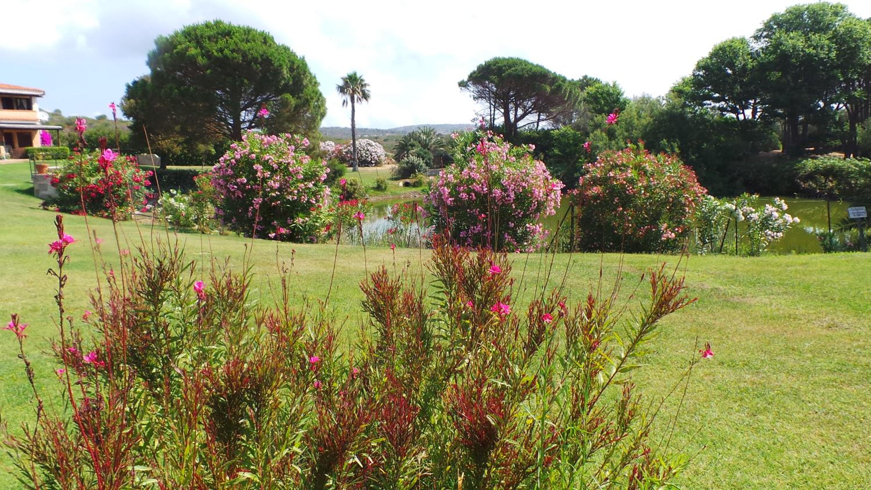 Residence Sottomonte