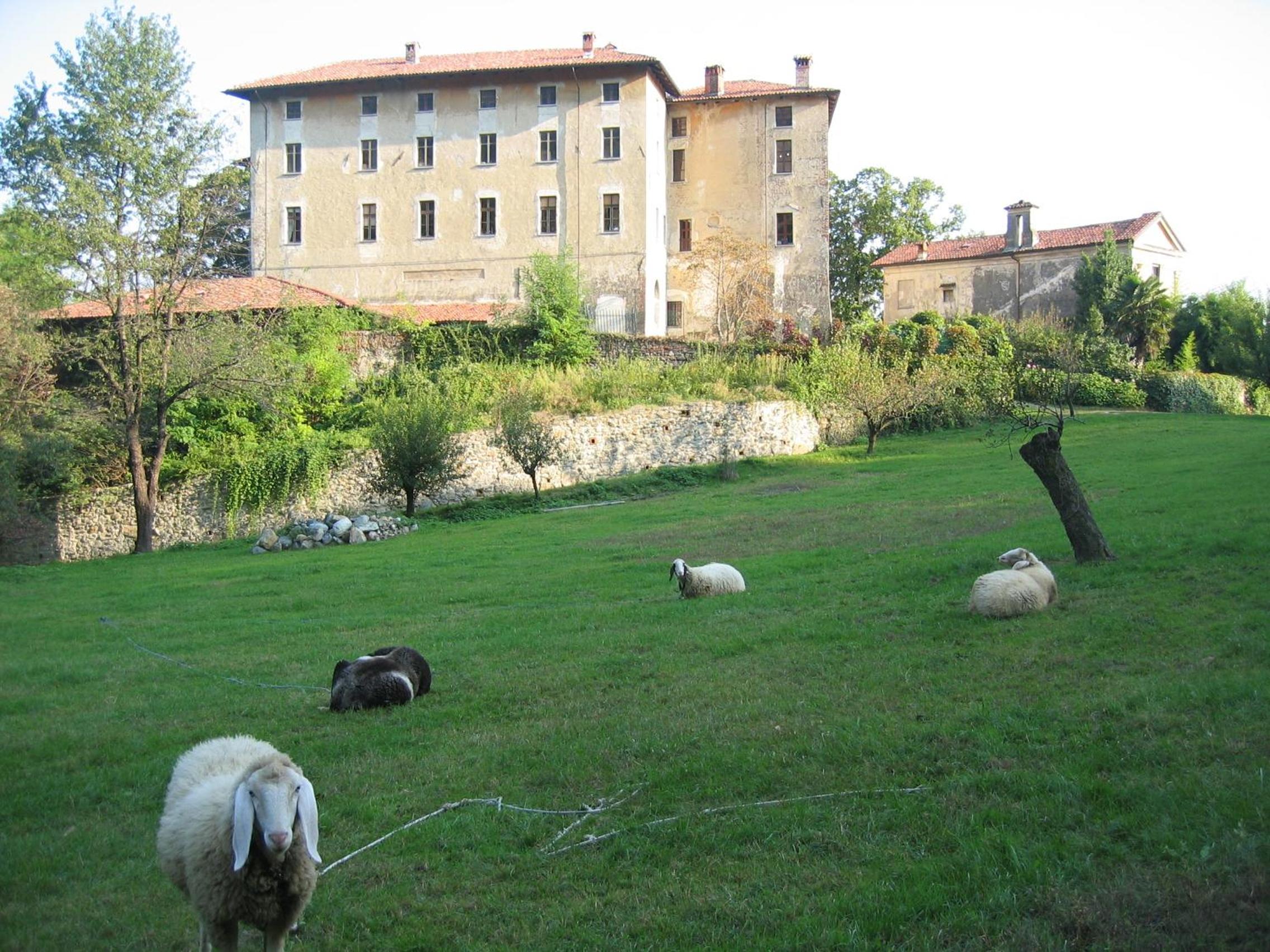 Photo 20
