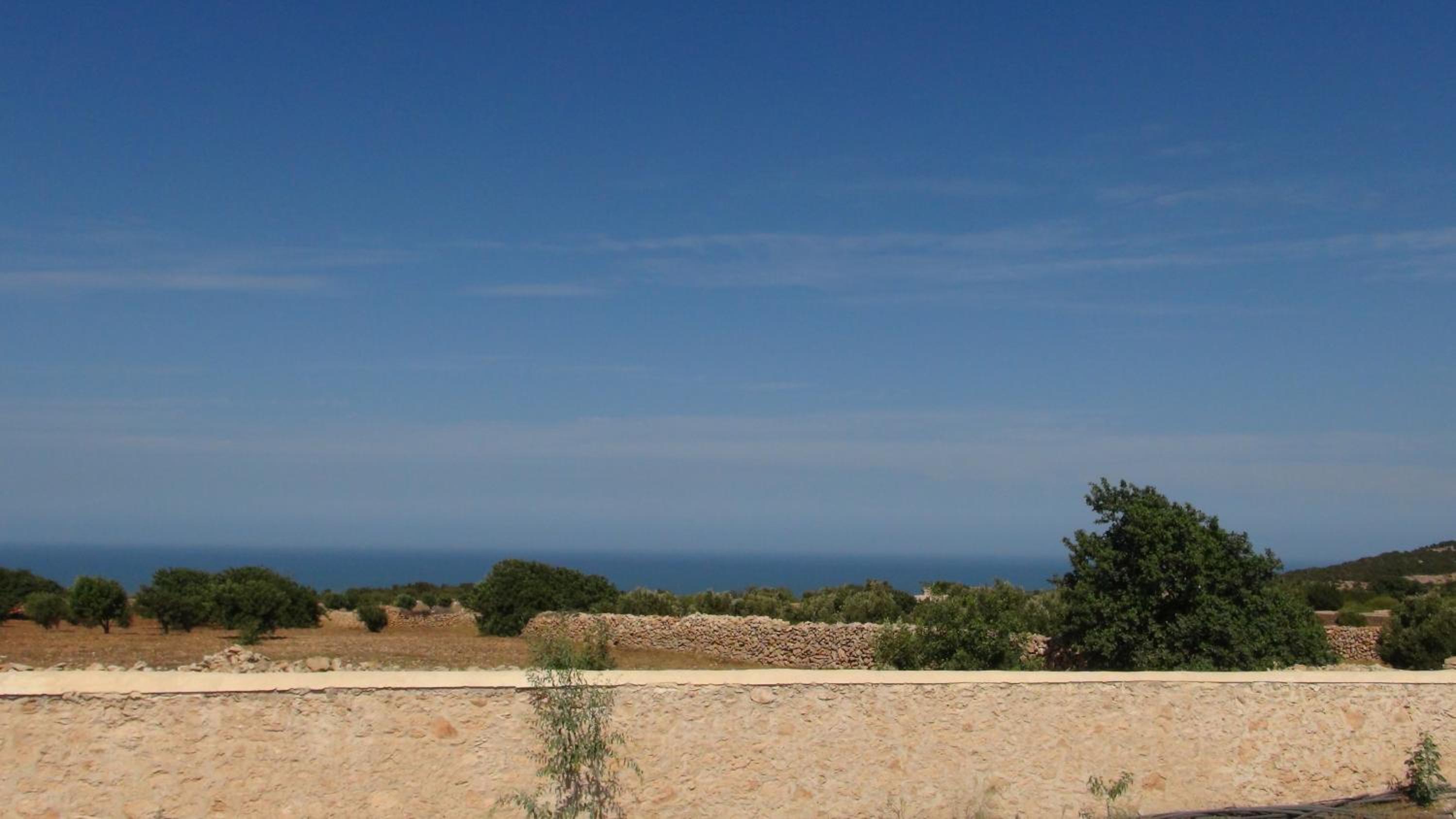 Photo 44