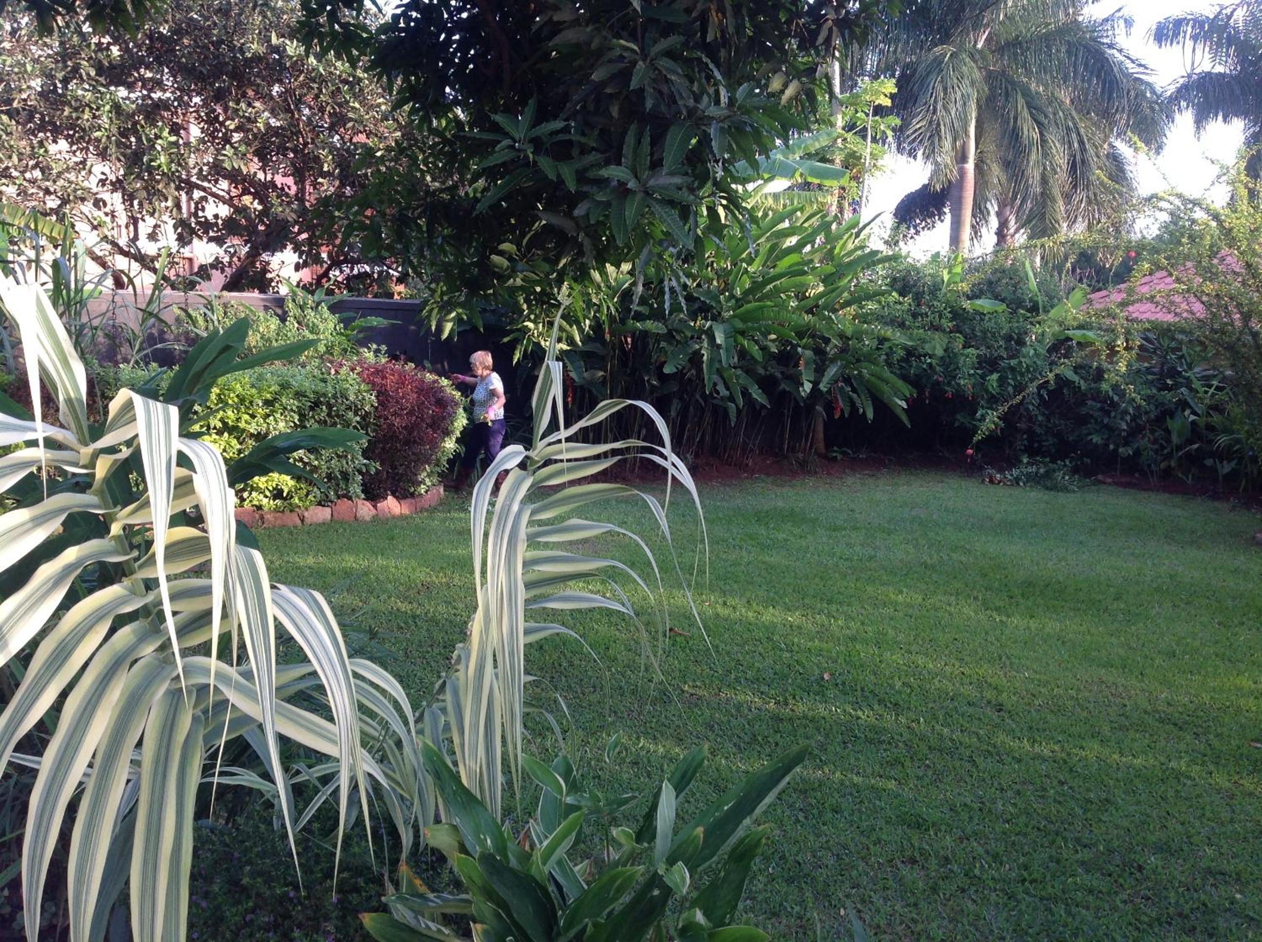 Photo 35