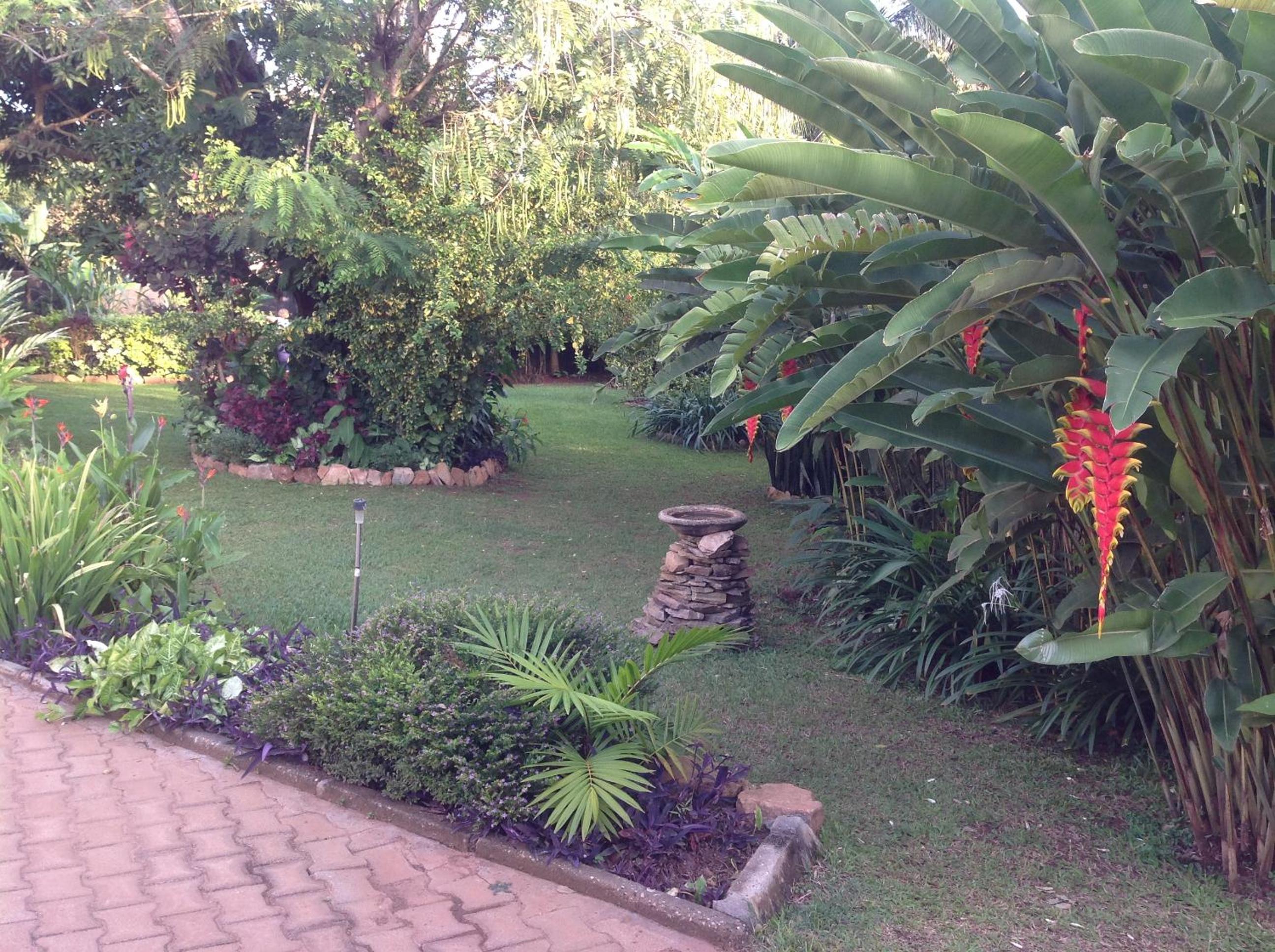 Photo 36