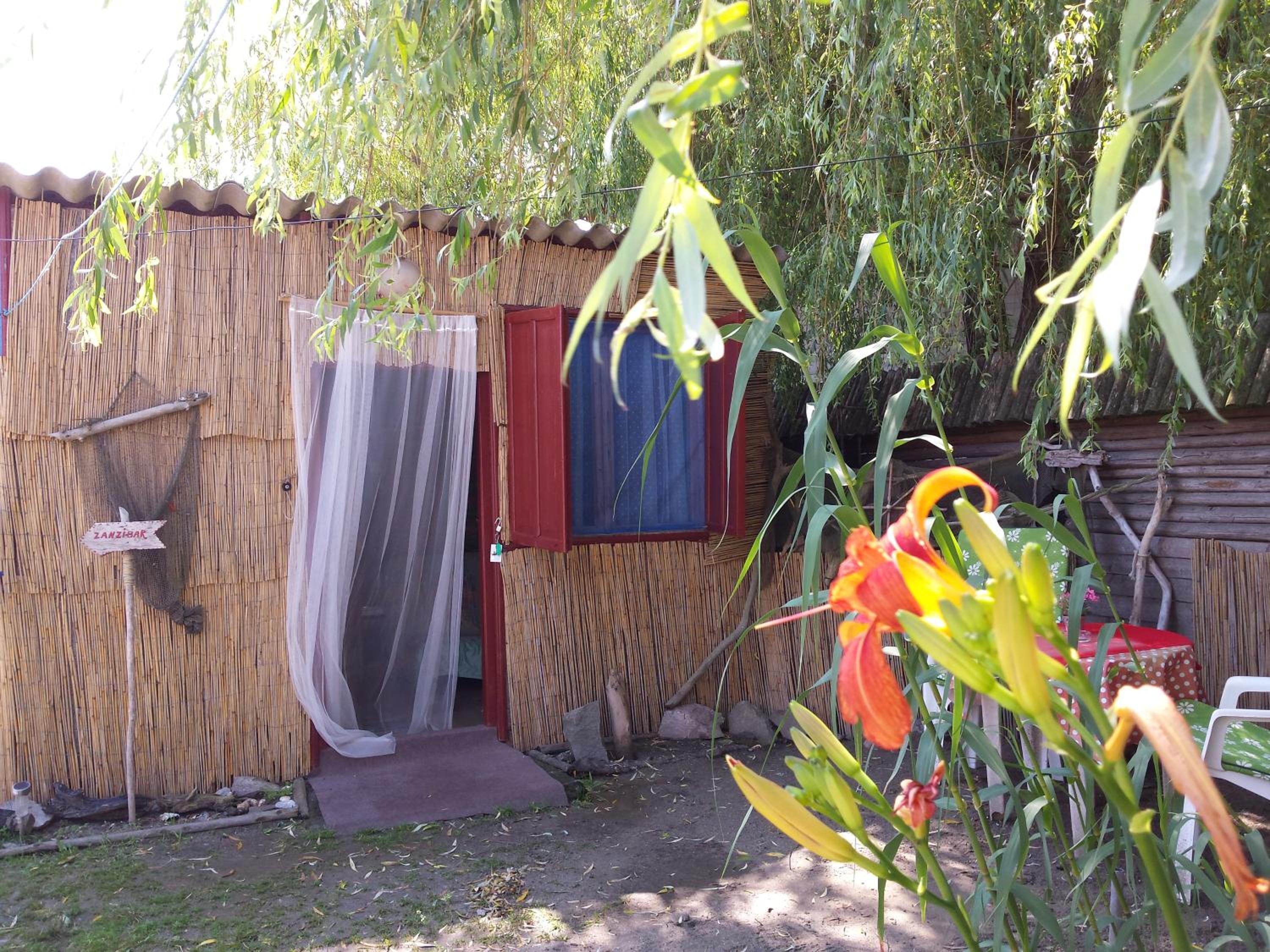 Photo 45