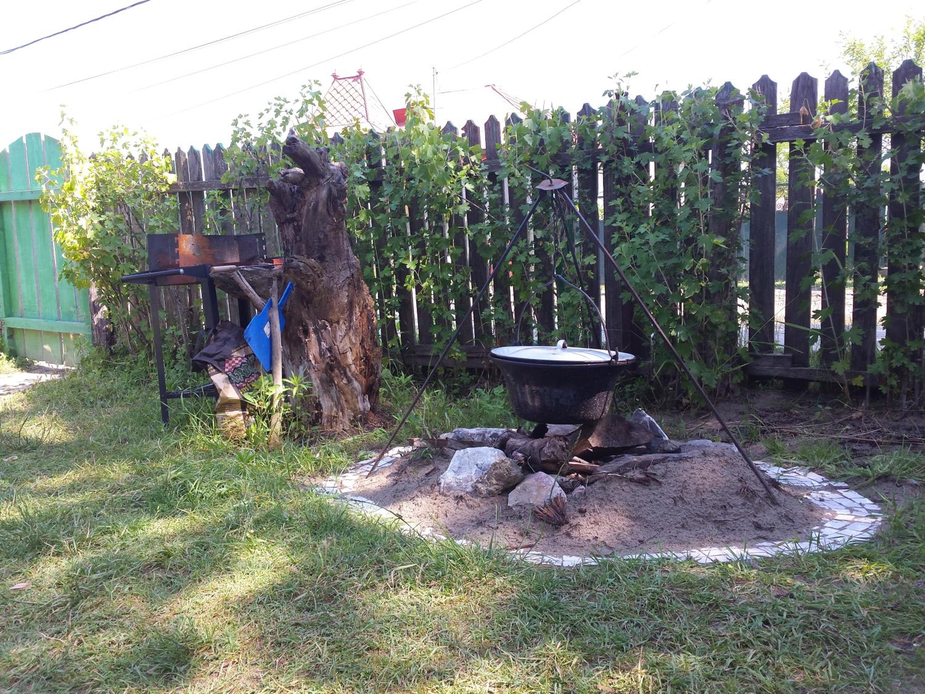 Photo 55