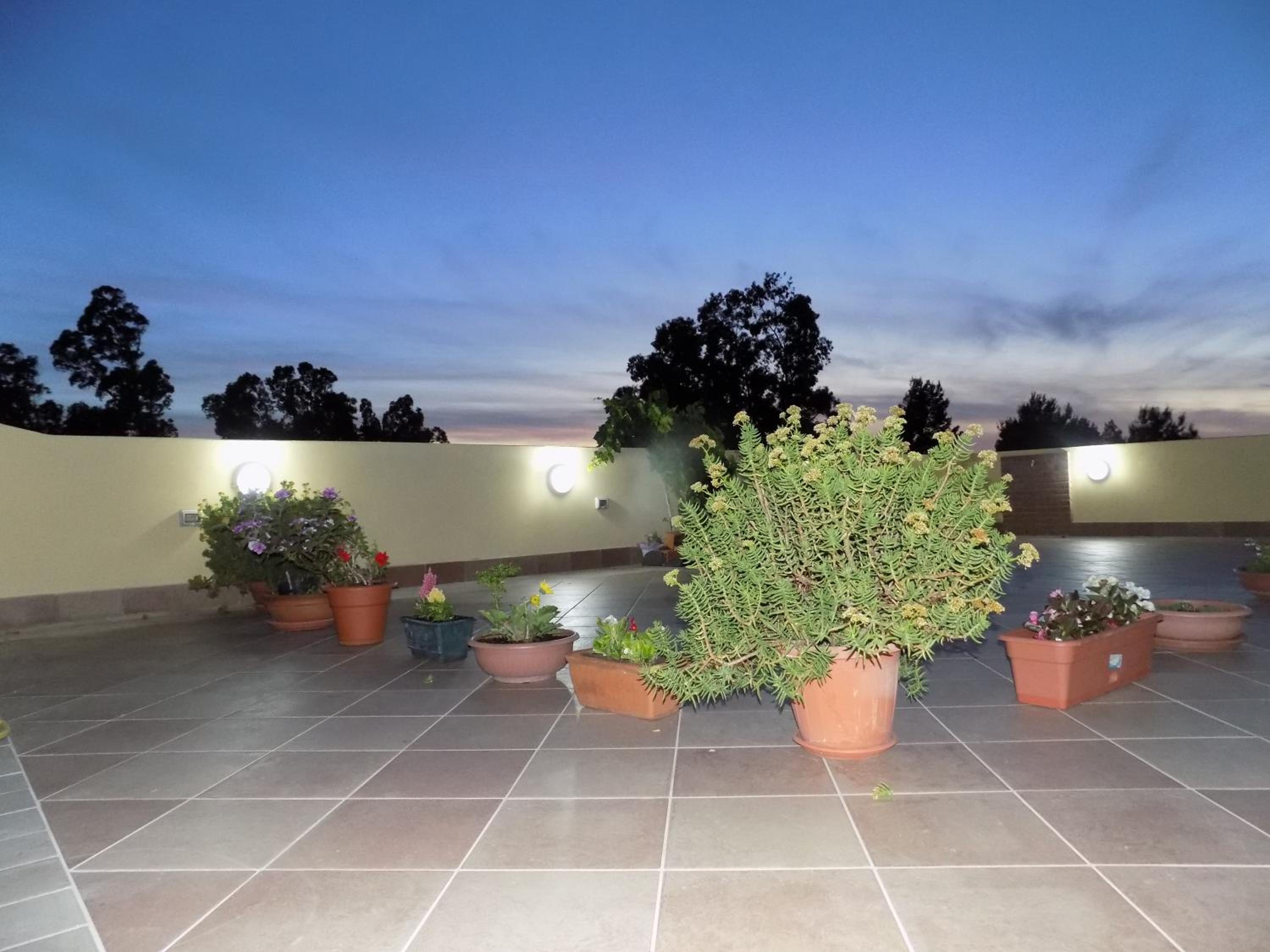roof