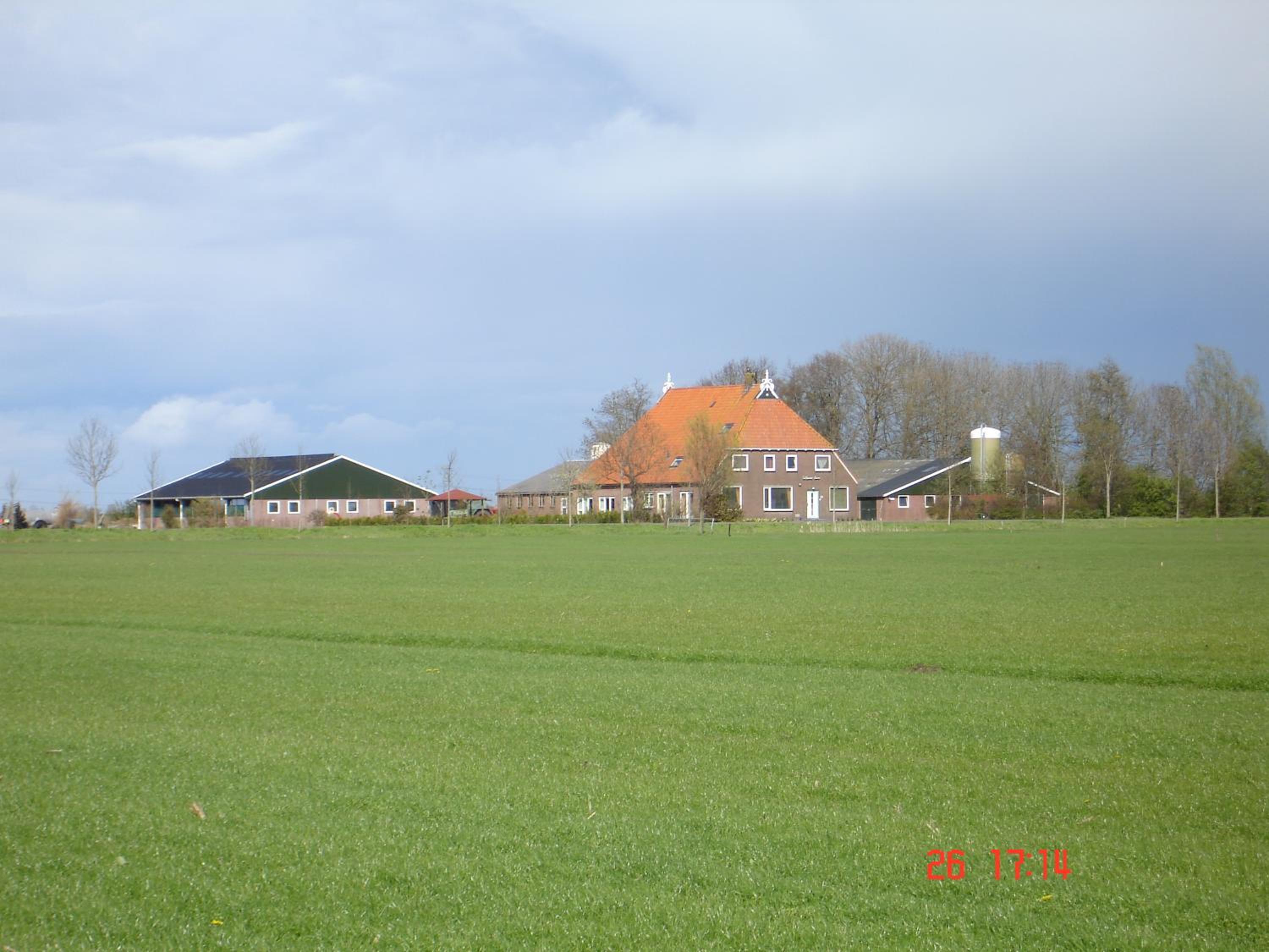 Photo 14