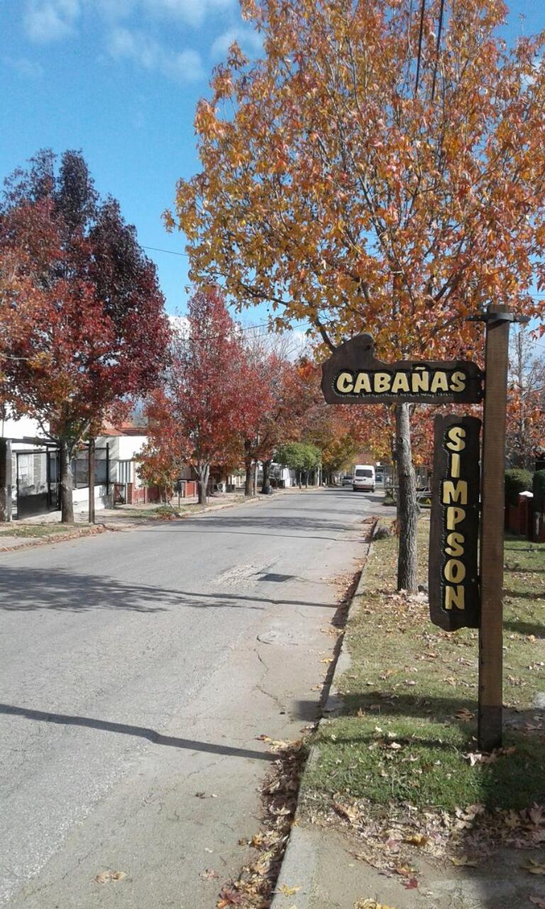 Cabañas Simpson
