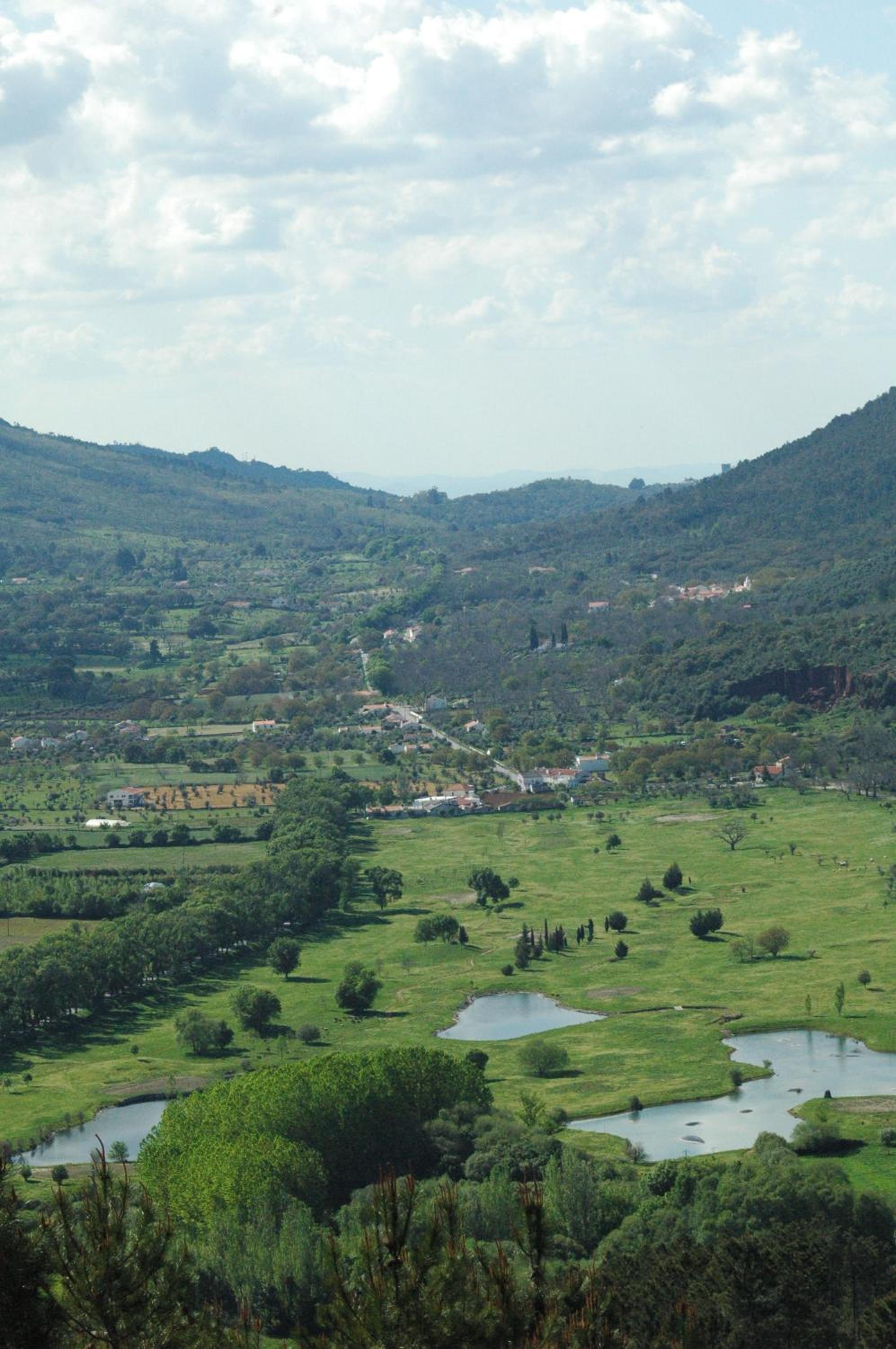 Quinta Do Vaqueirinho - Agro-Turismo