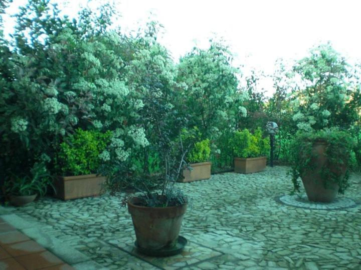 Villa Raffaello view 3