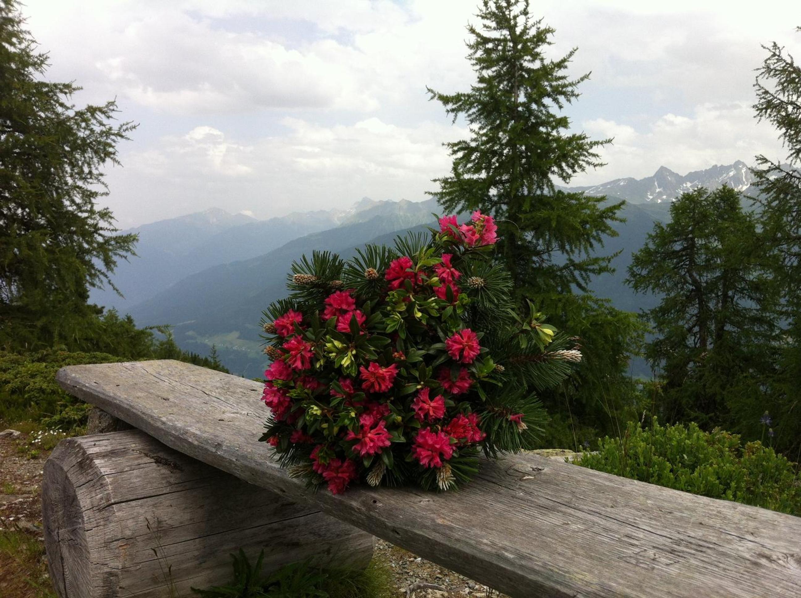 Gasthof Venetrast