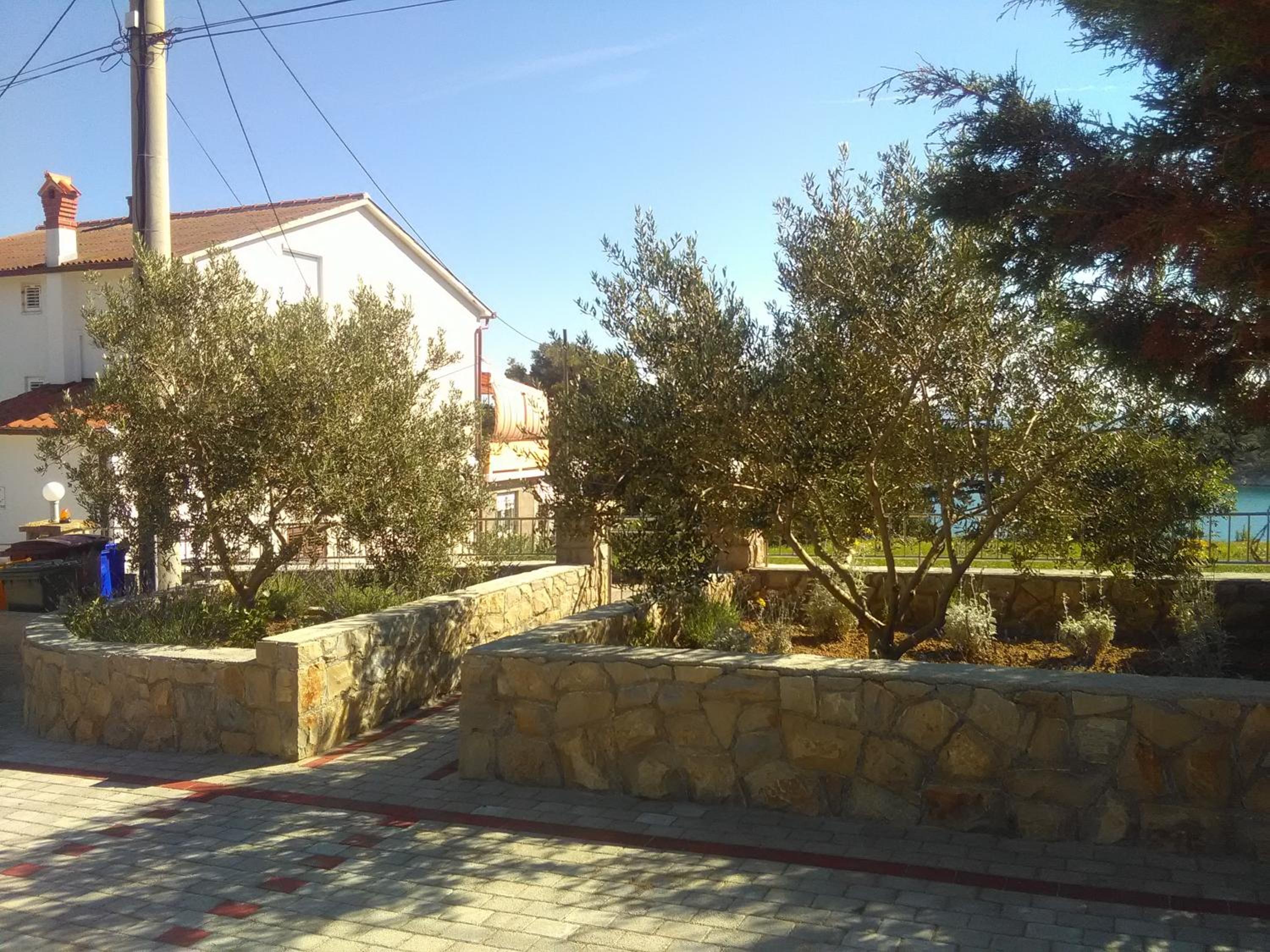 Photo 40
