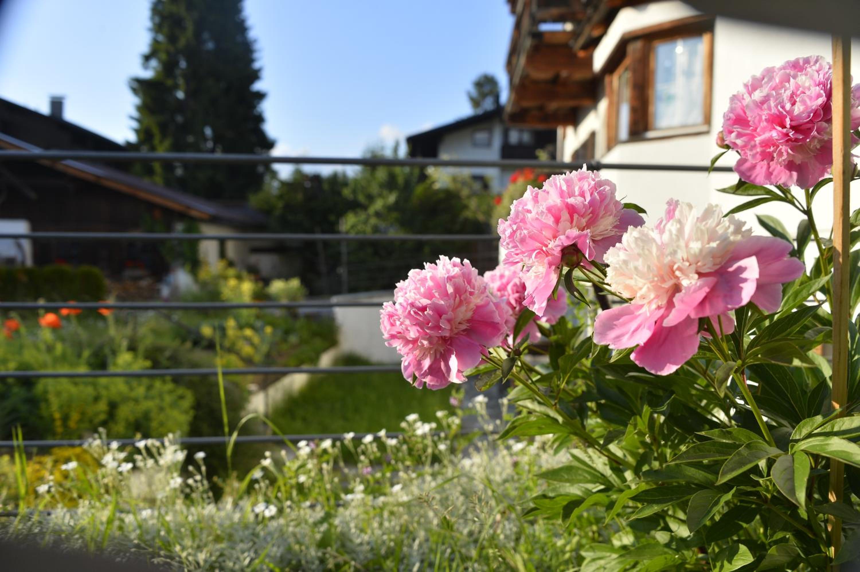 Photo 40