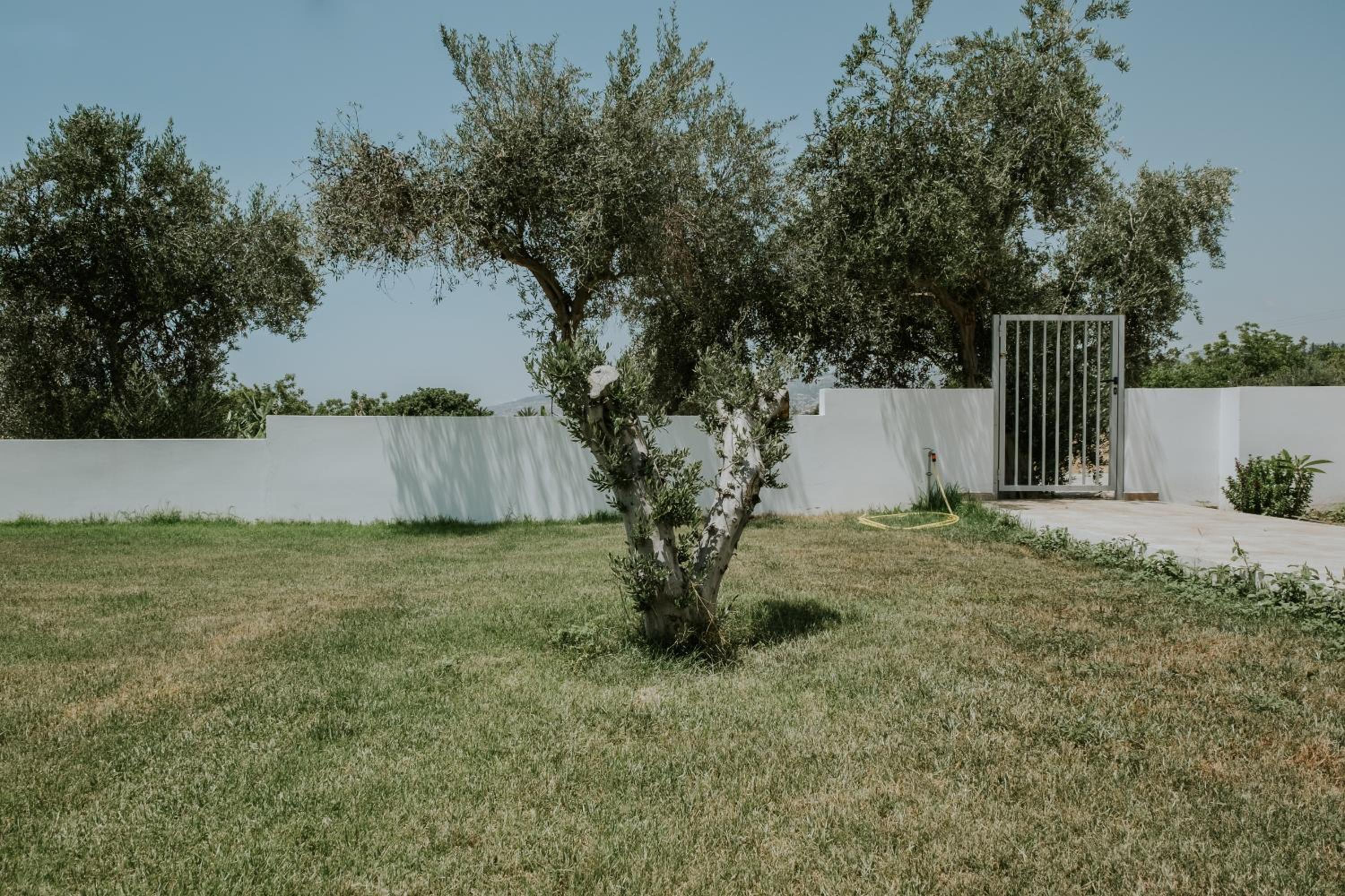 Villa Despoina view 5