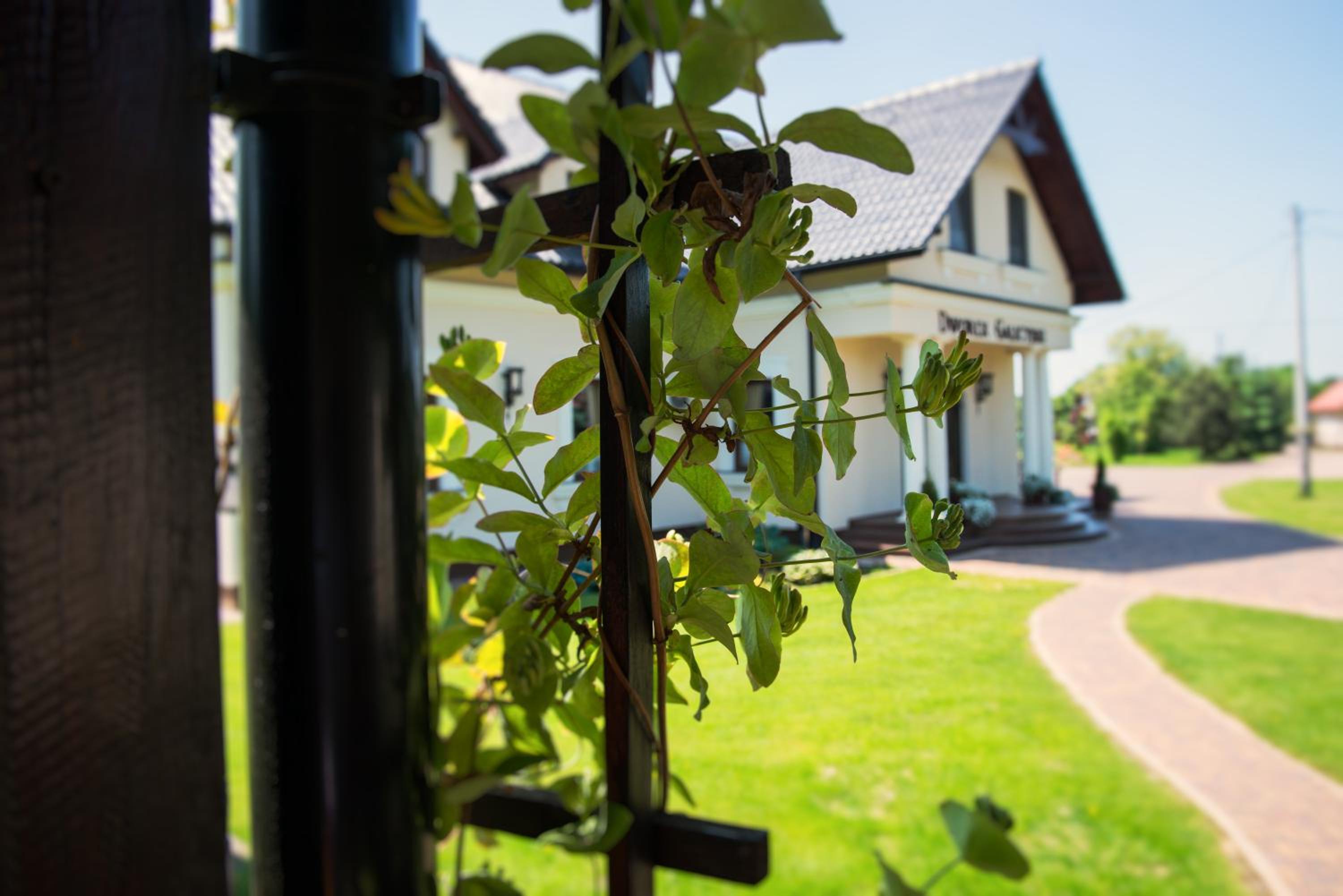 Agroturystyka Oswiecim - Property Image 19