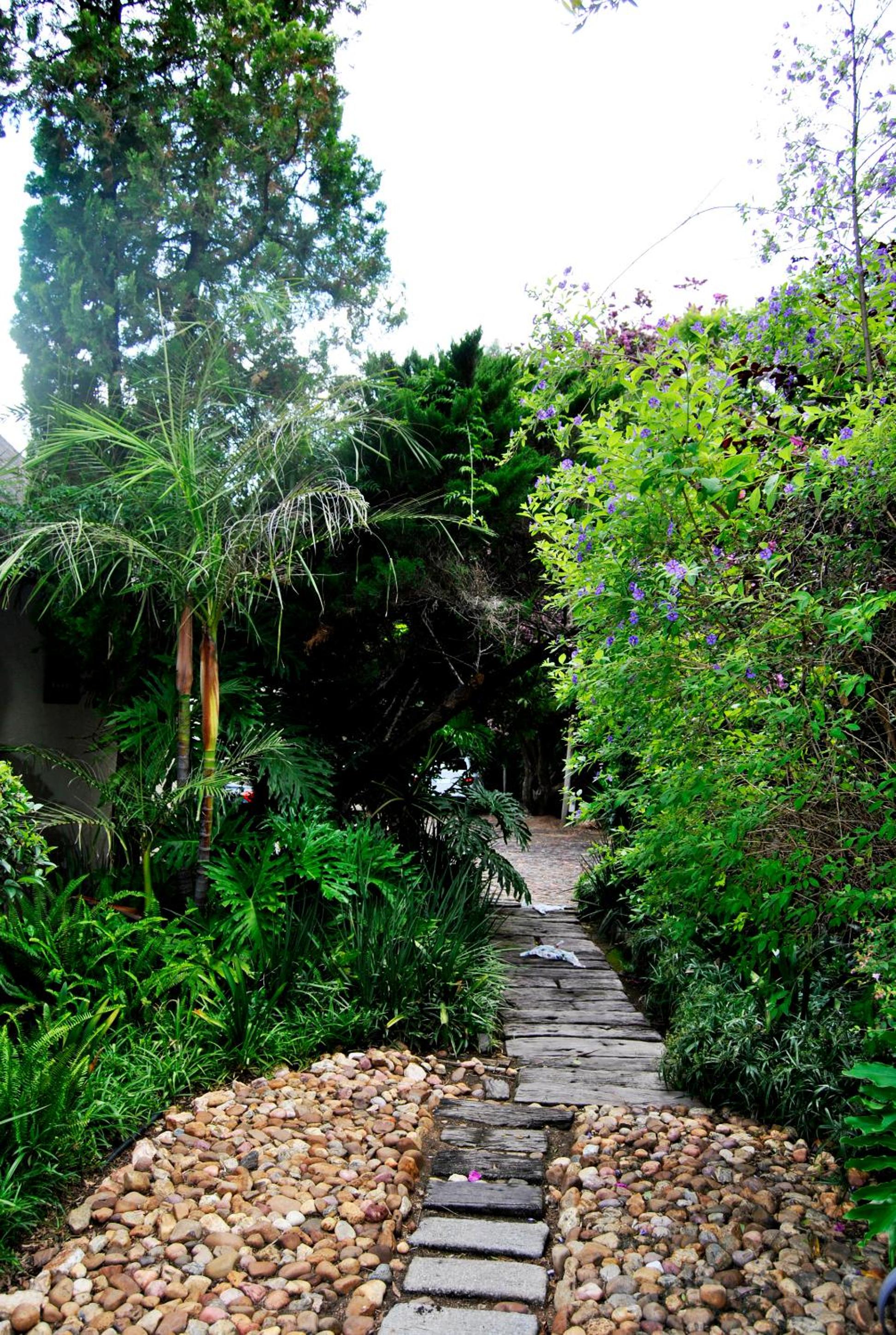Johannesburg Vacations - Birch Tree Cottage - Property Image 27