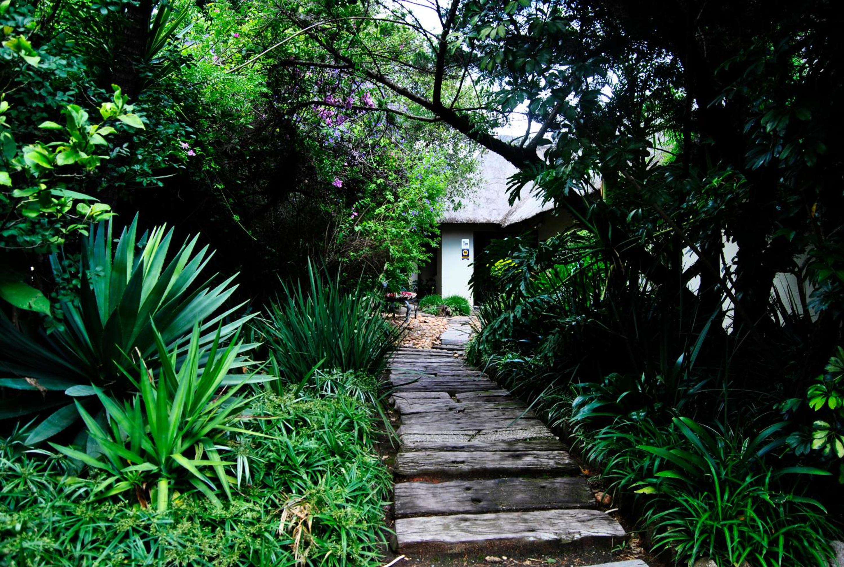 Johannesburg Vacations - Birch Tree Cottage - Property Image 40